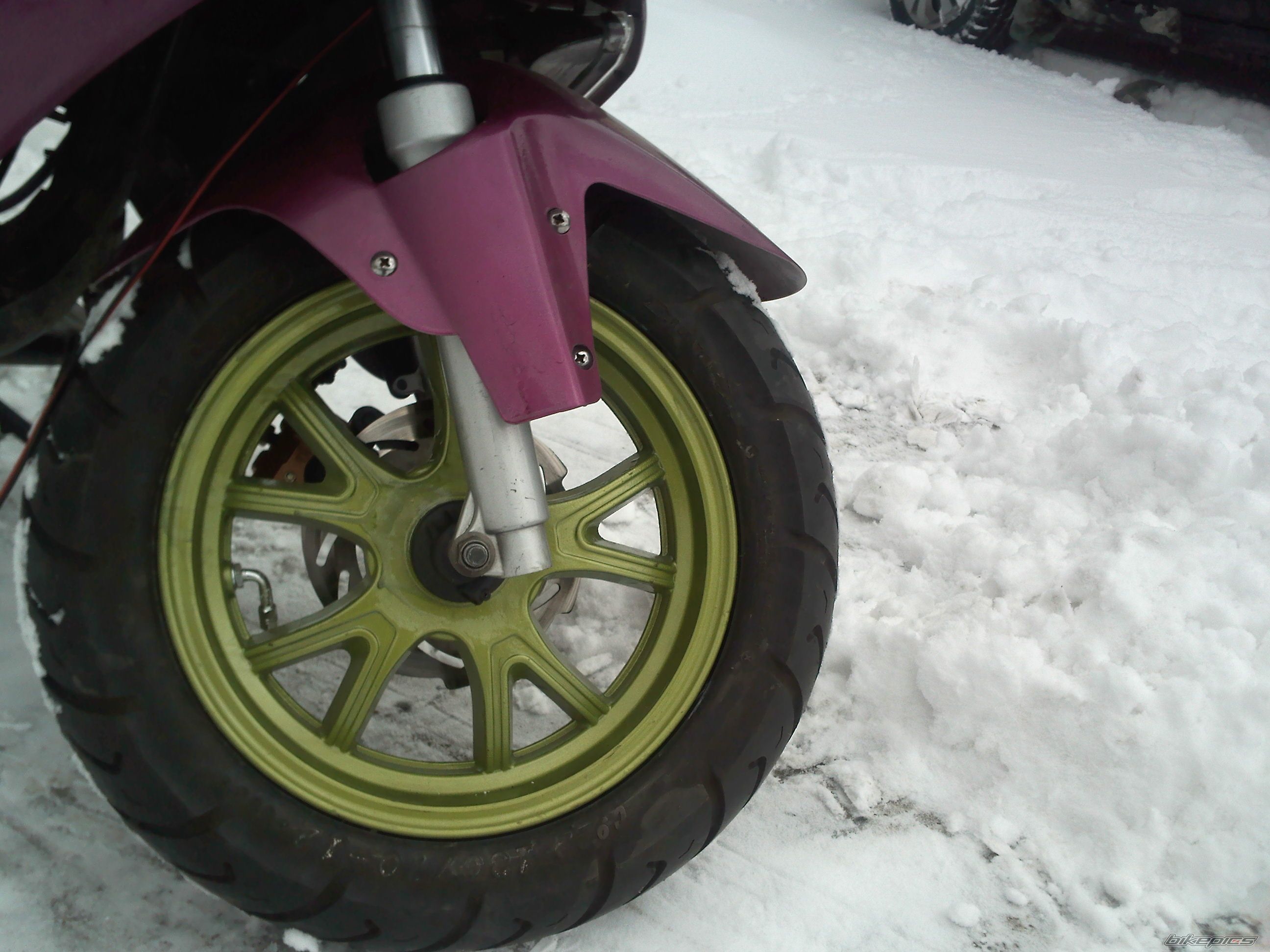 Photo 2348490