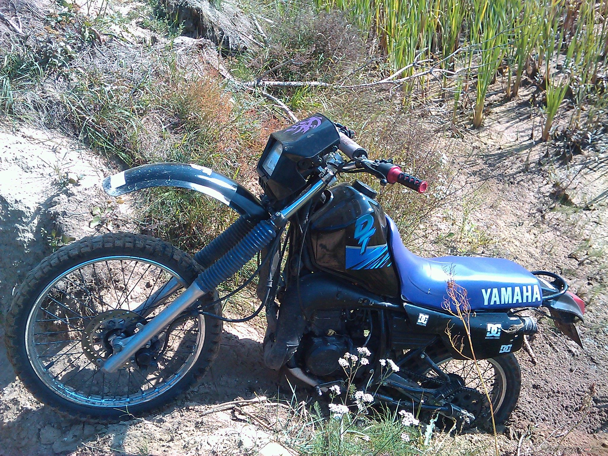 Photo 2348506