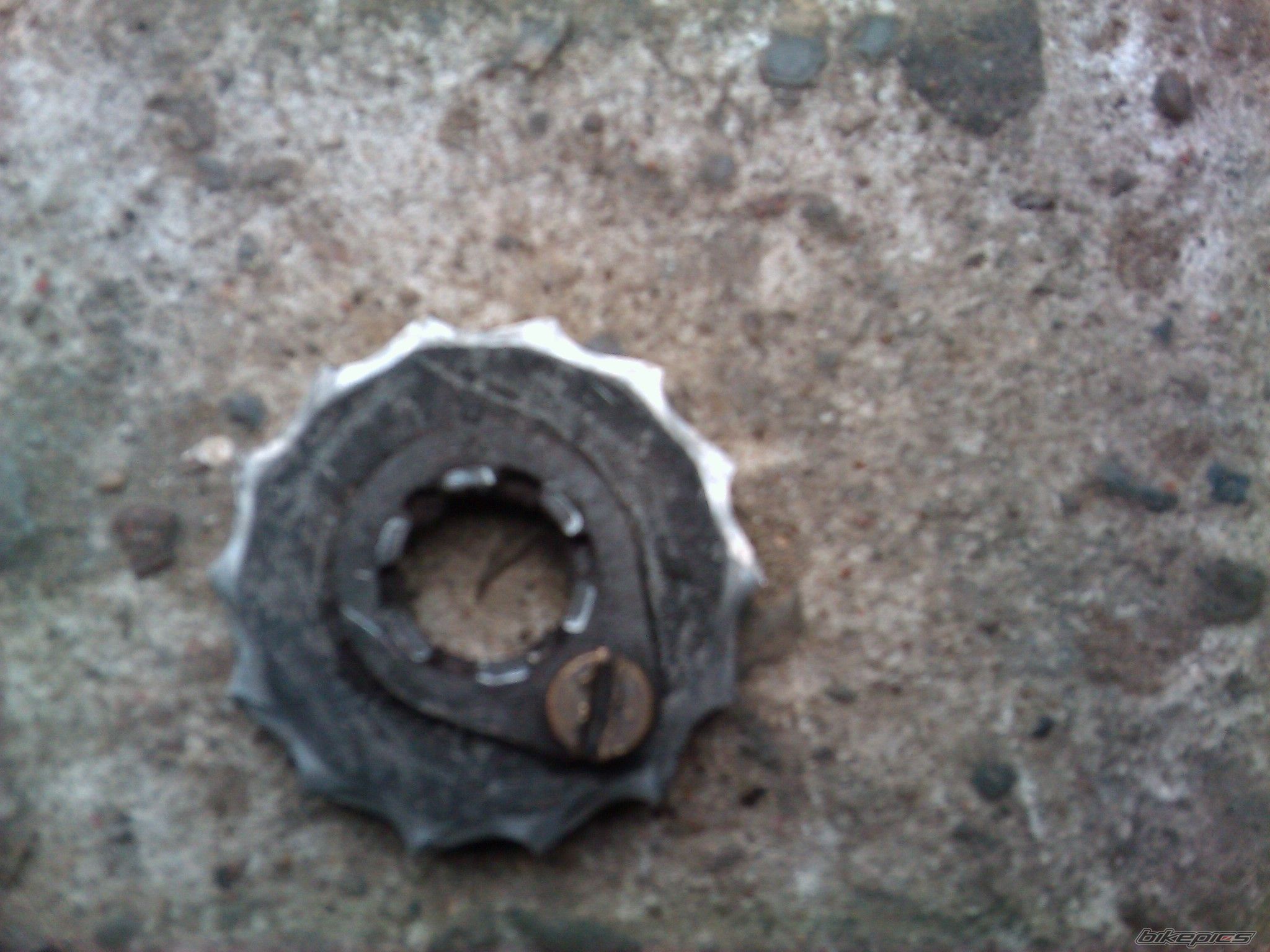 Photo 2348510