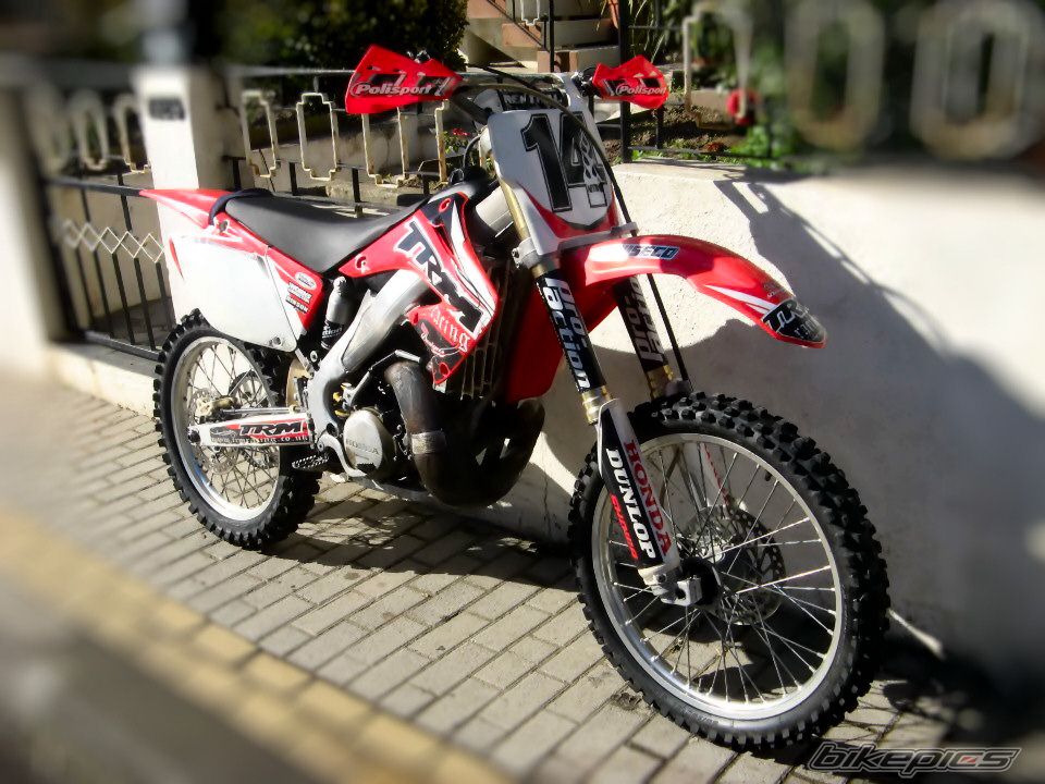 Photo 2348527