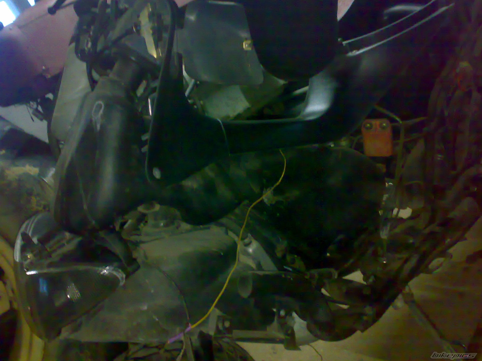 Photo 2348616
