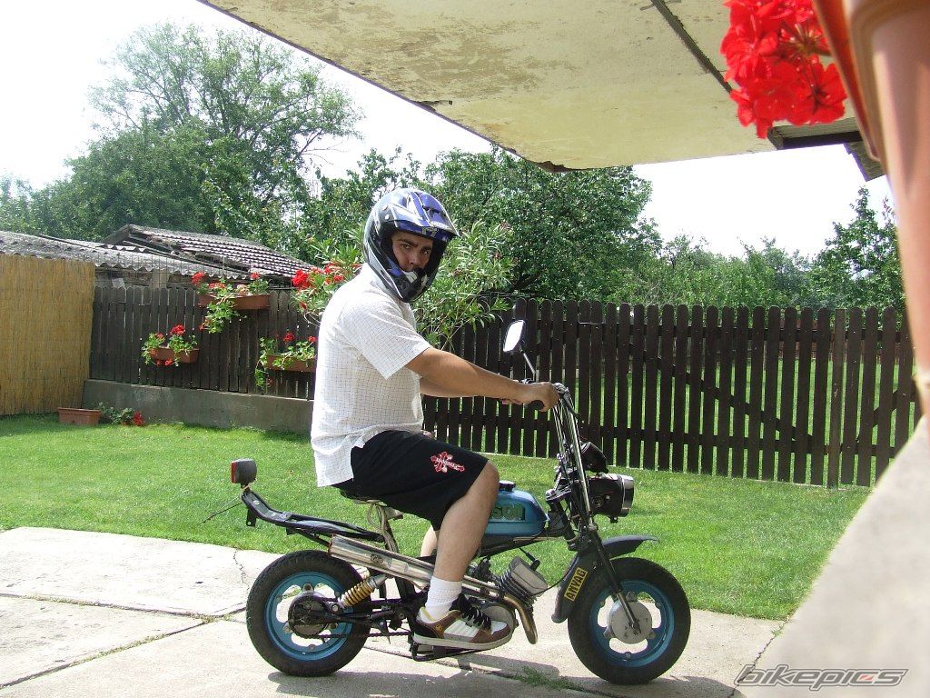 Photo 2348622