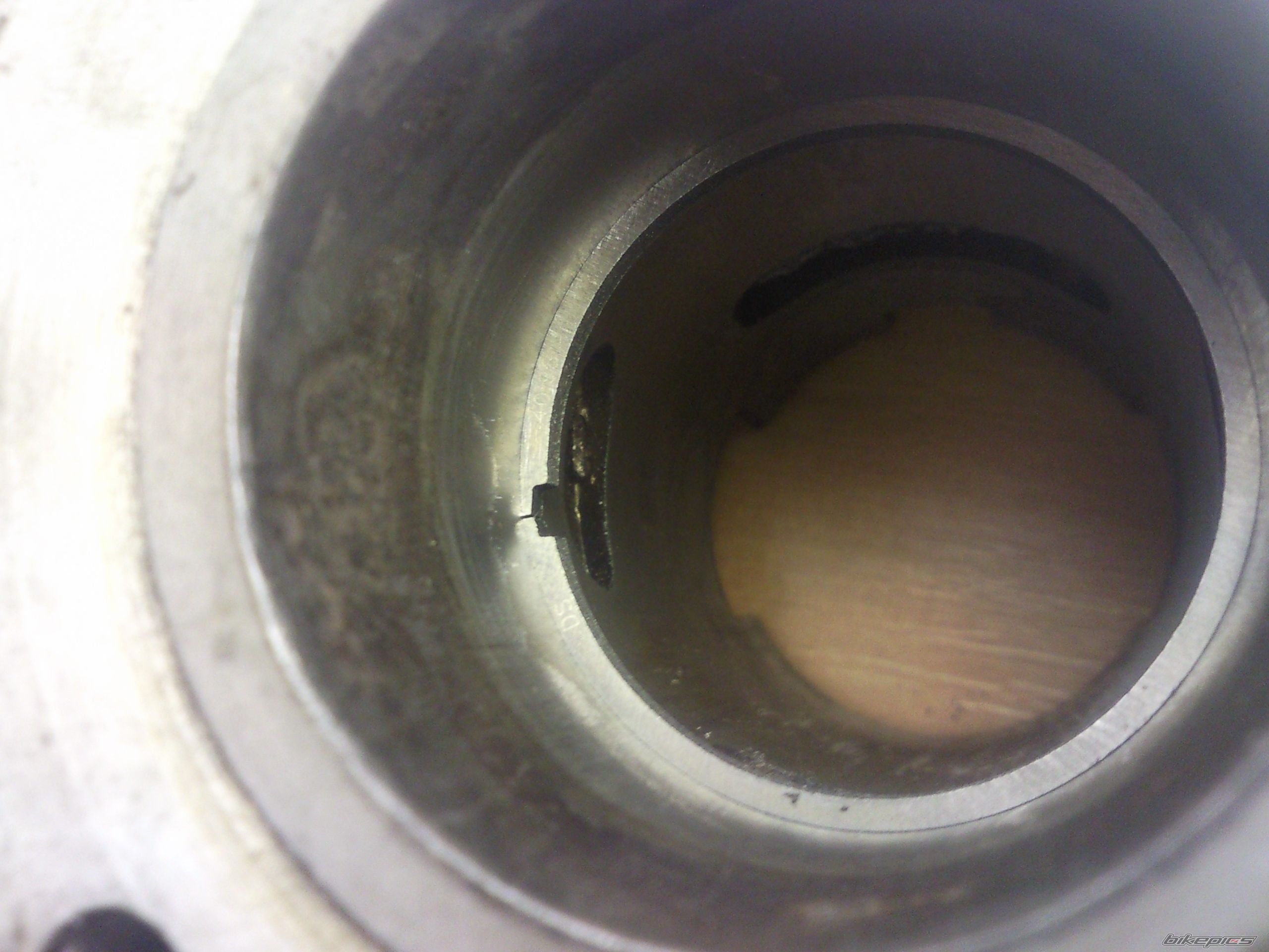 Photo 2348694