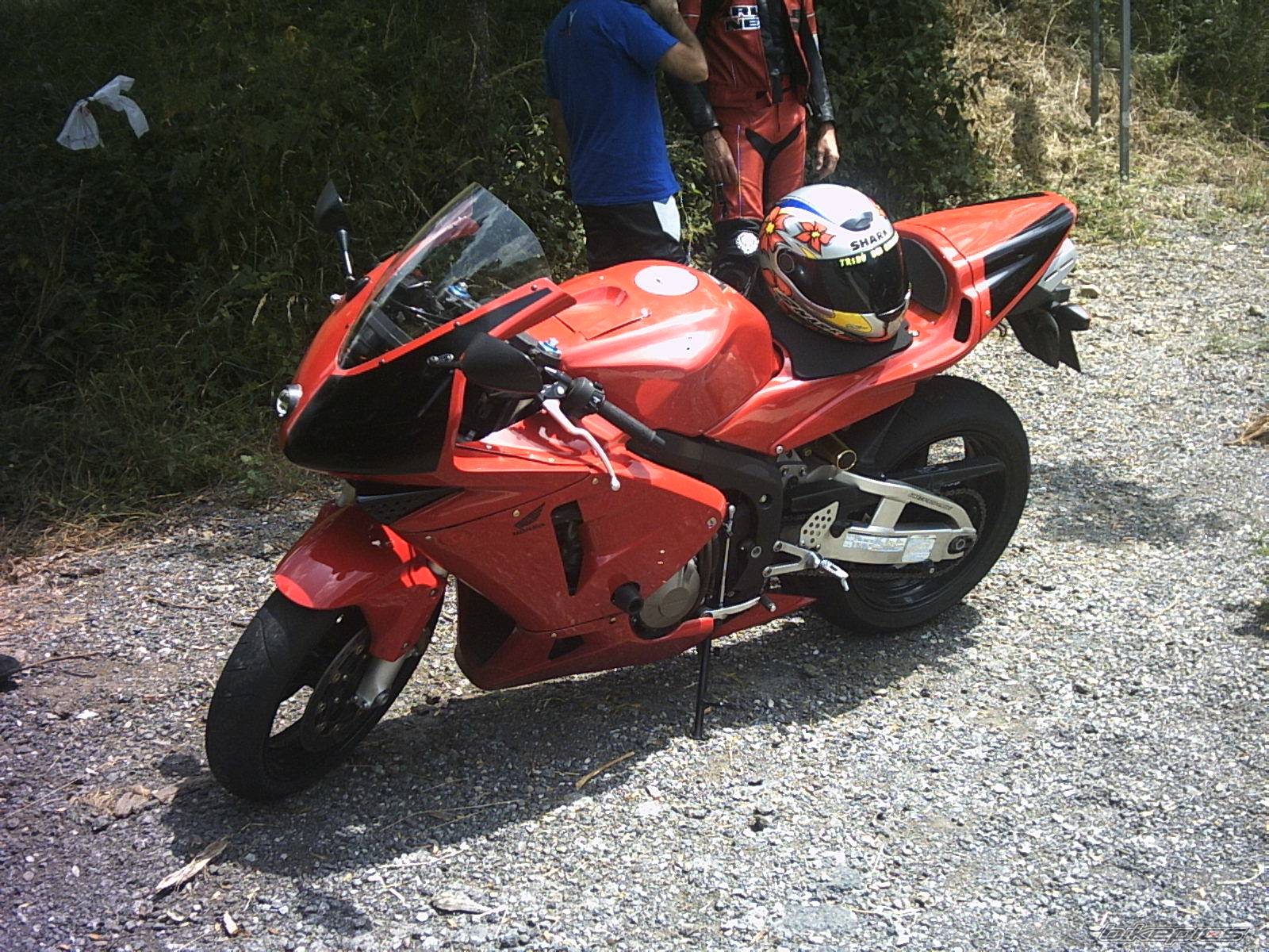 Photo 234883