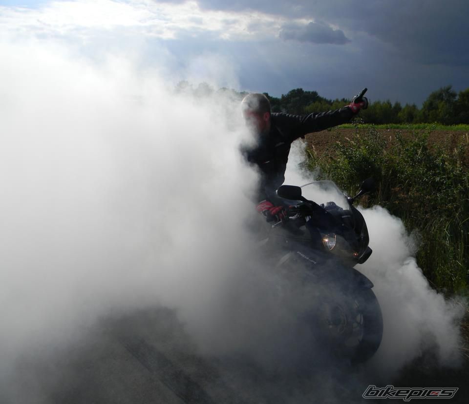 Photo 2348928