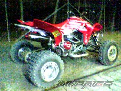 Photo 234898