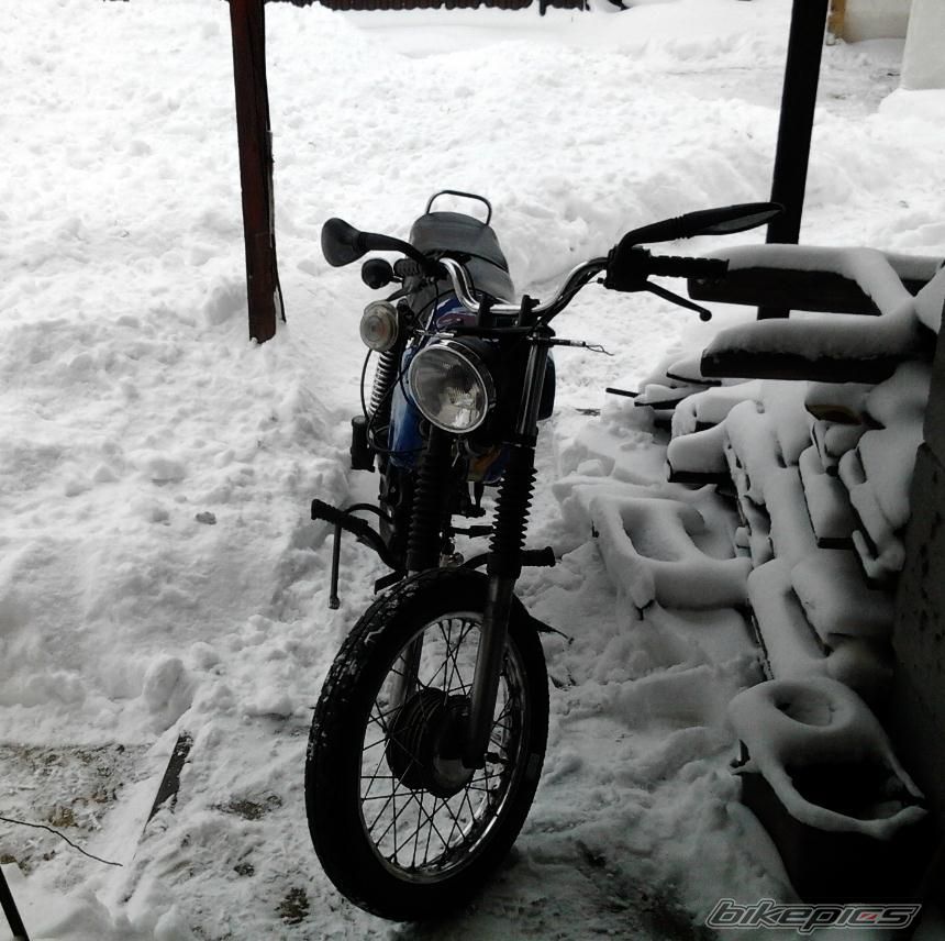 Photo 2349045