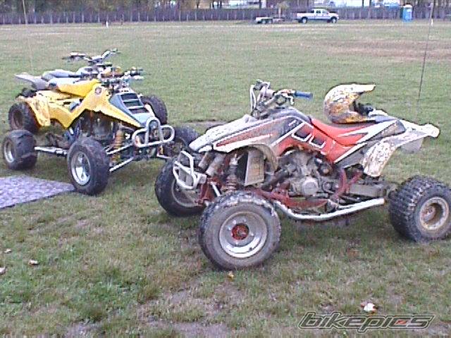 Photo 234911