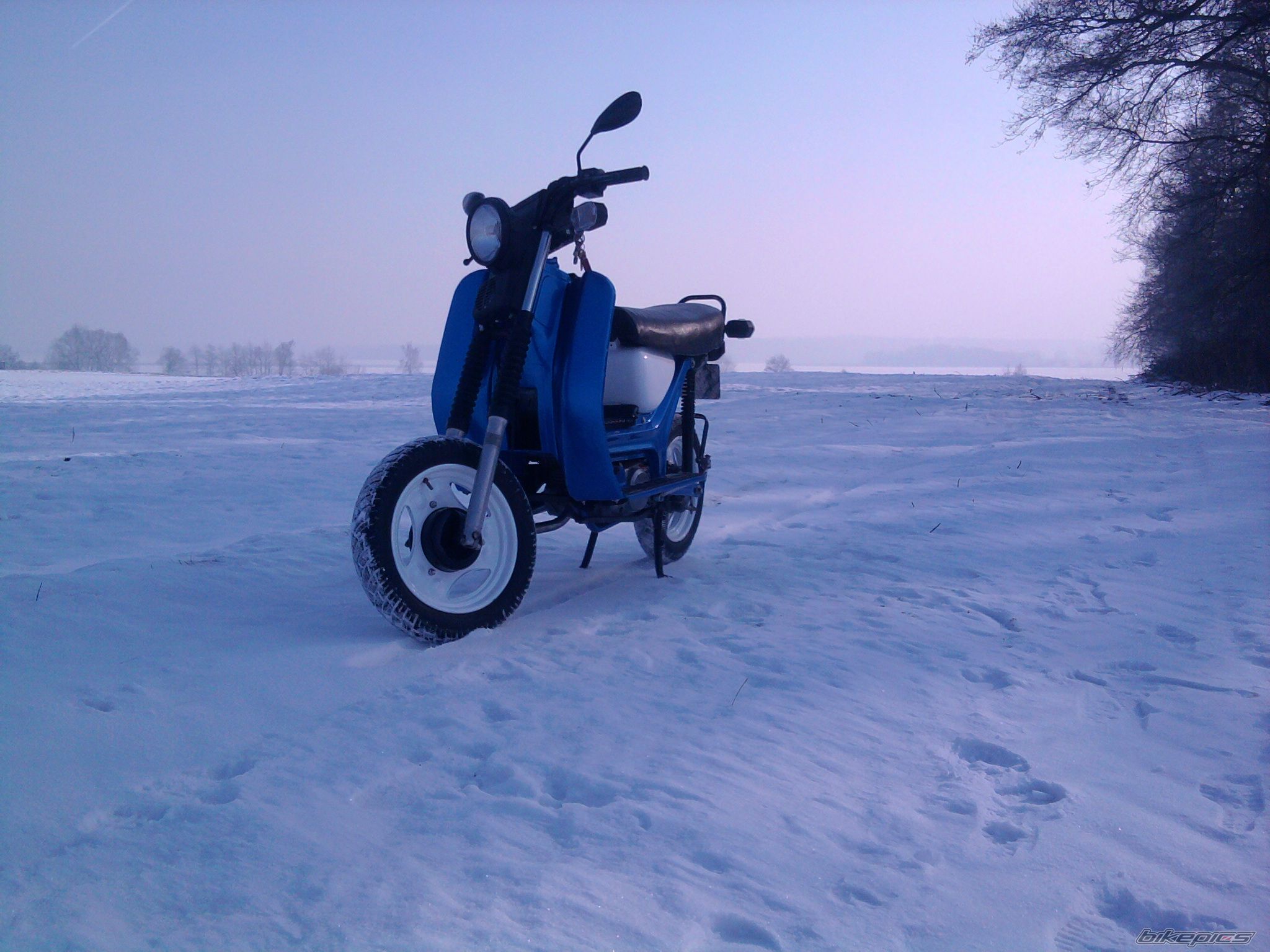 Photo 2349168