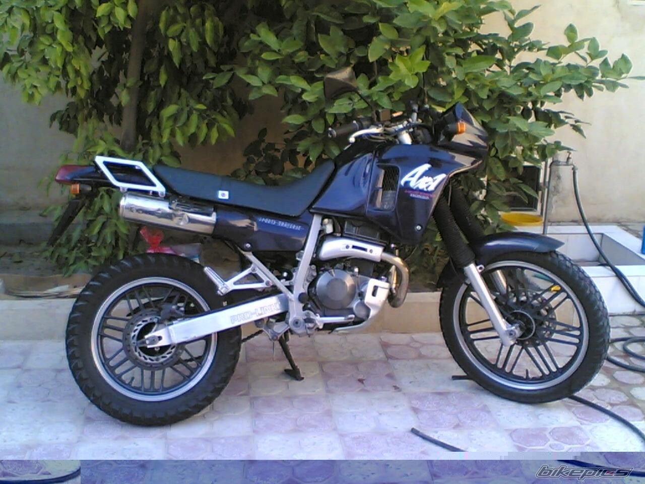 Photo 2349243