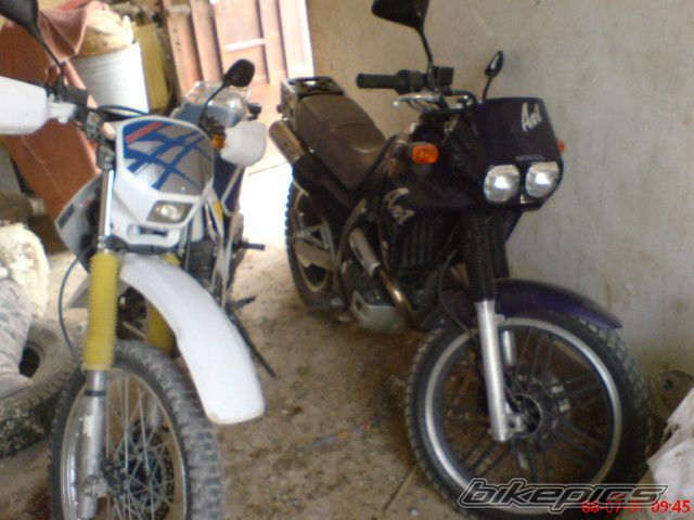Photo 2349244