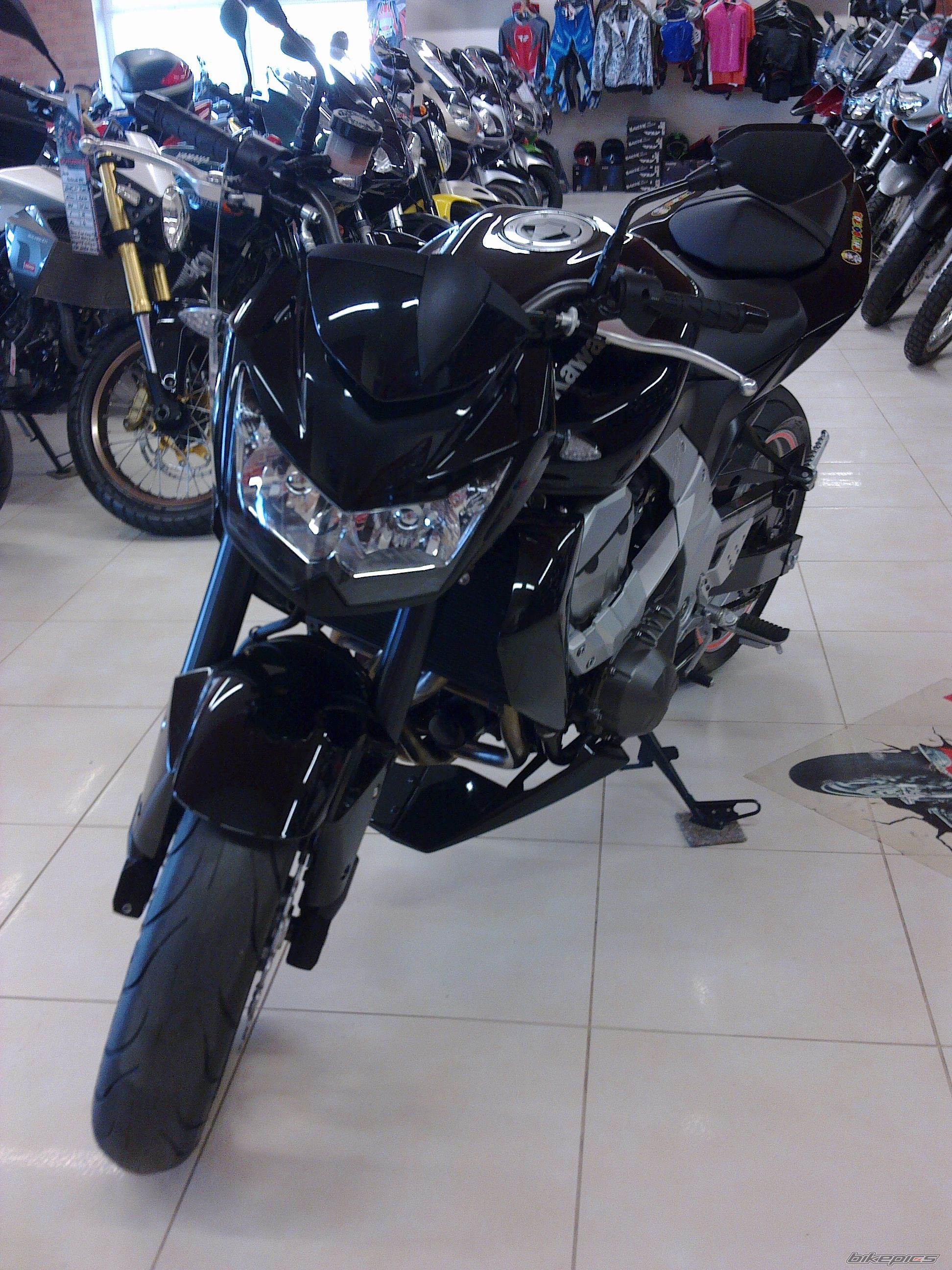 Photo 2349360