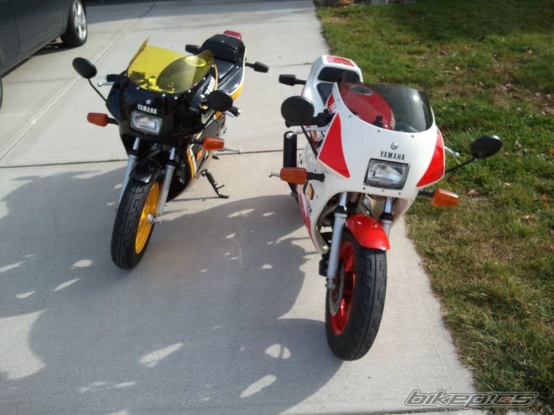 Photo 2349488