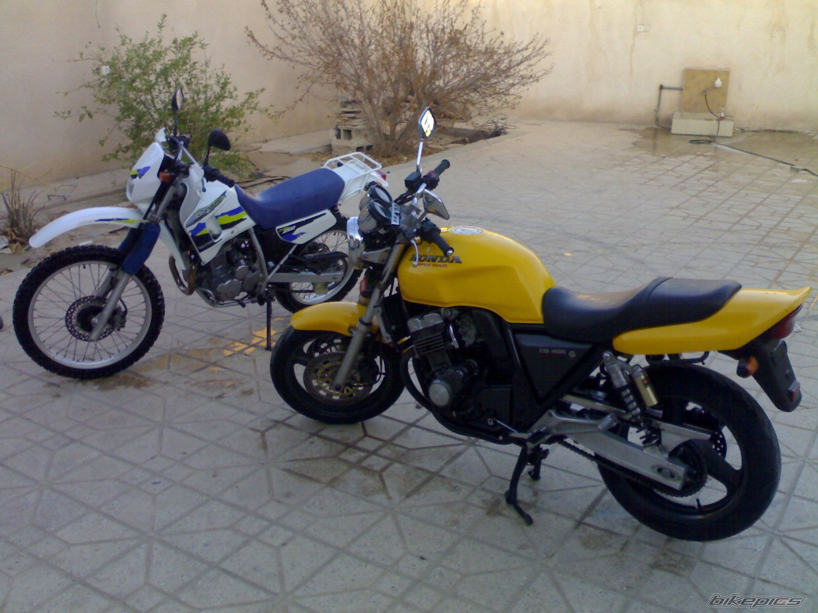 Photo 2349517