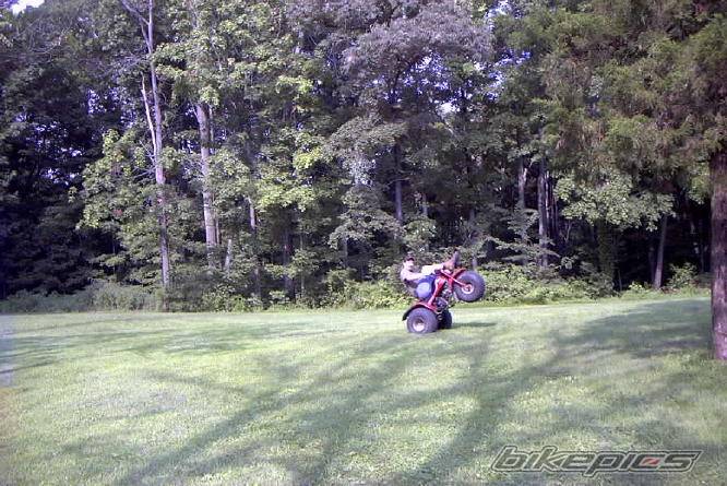 Photo 234952