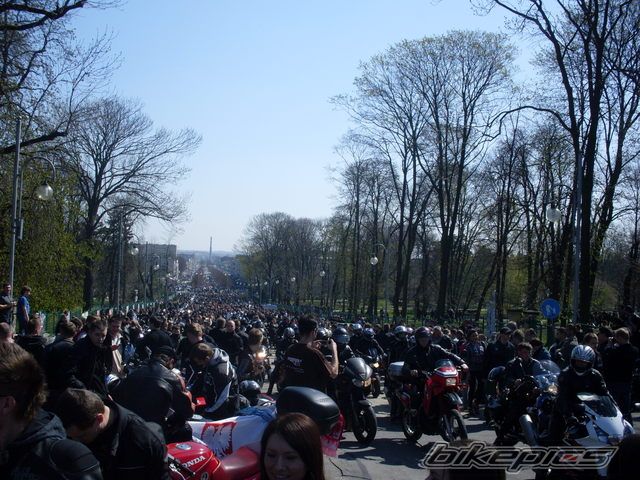 Photo 2349599
