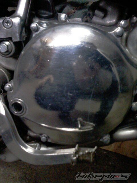 Photo 2349655