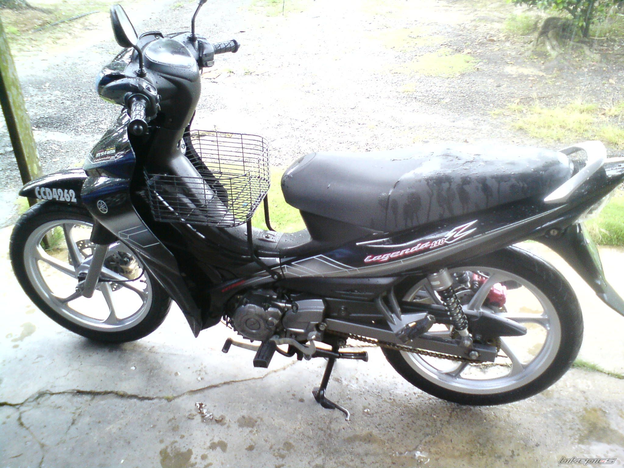 Photo 2349705