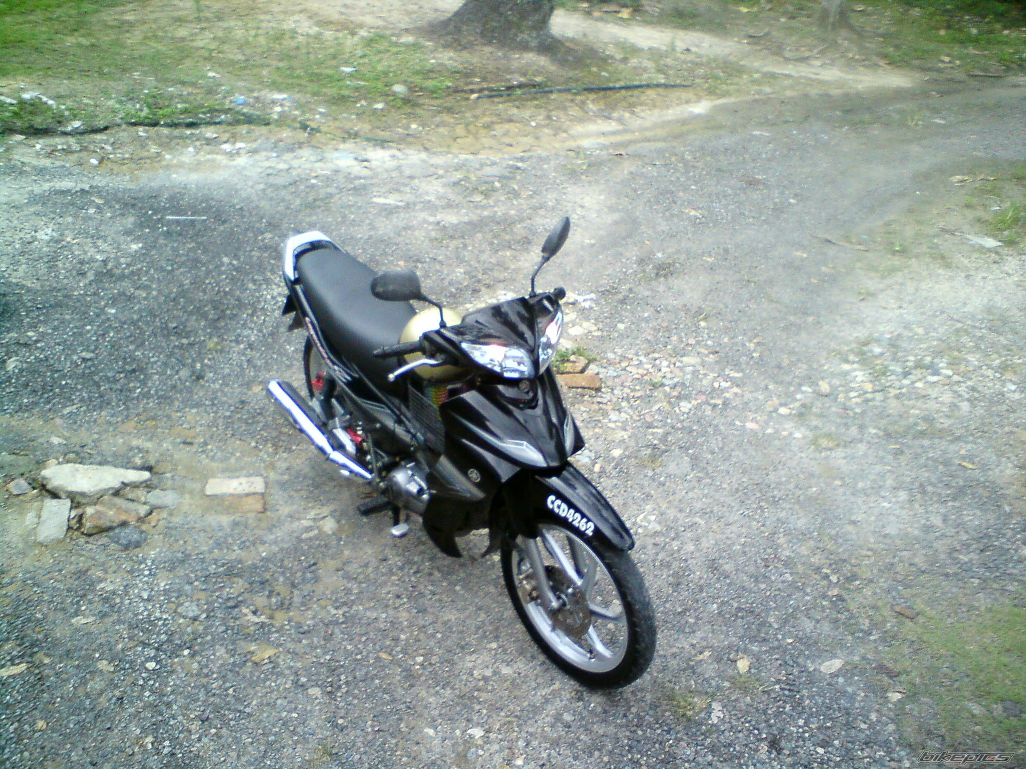 Photo 2349706