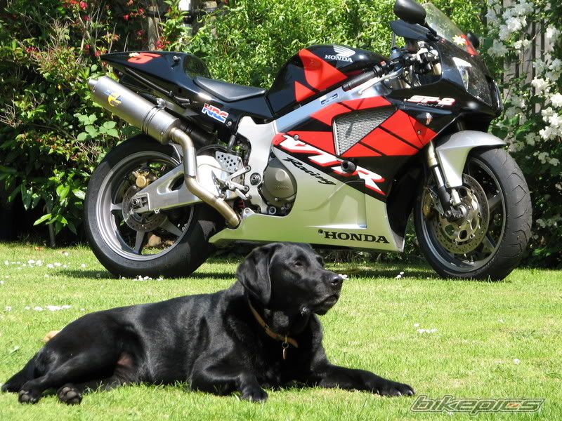 Bike Photo 2349787