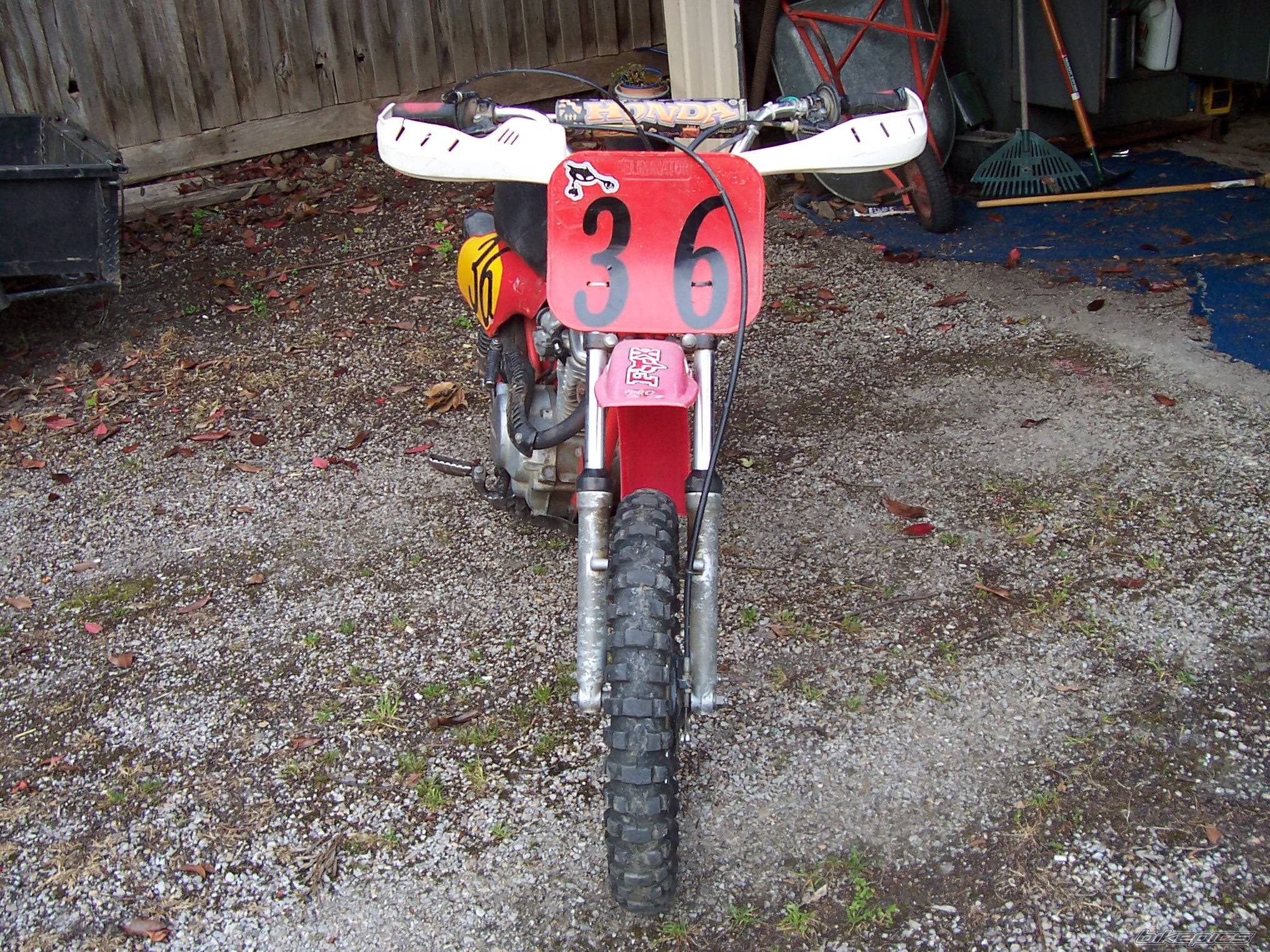 Photo 234979