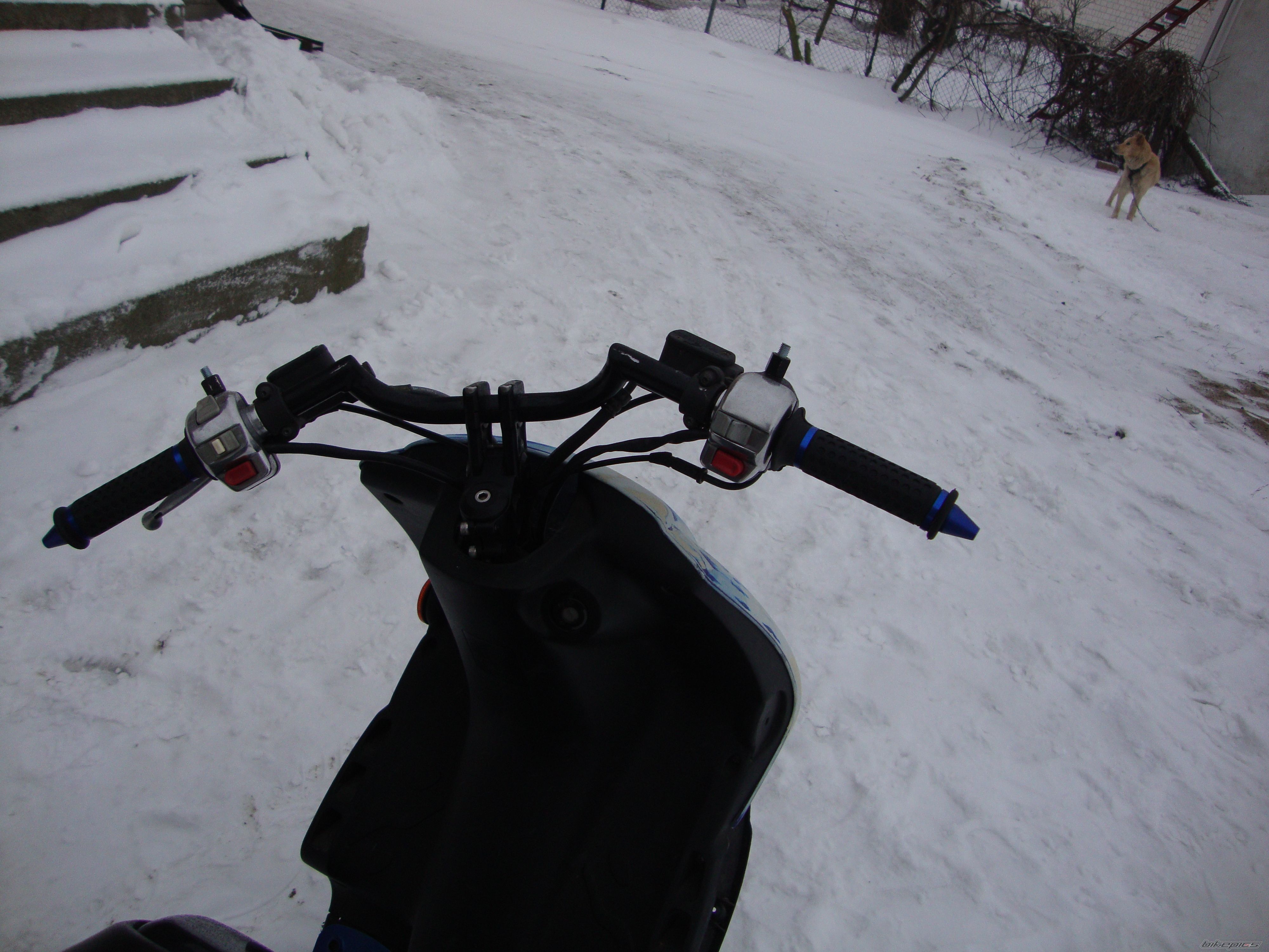 Photo 2349982