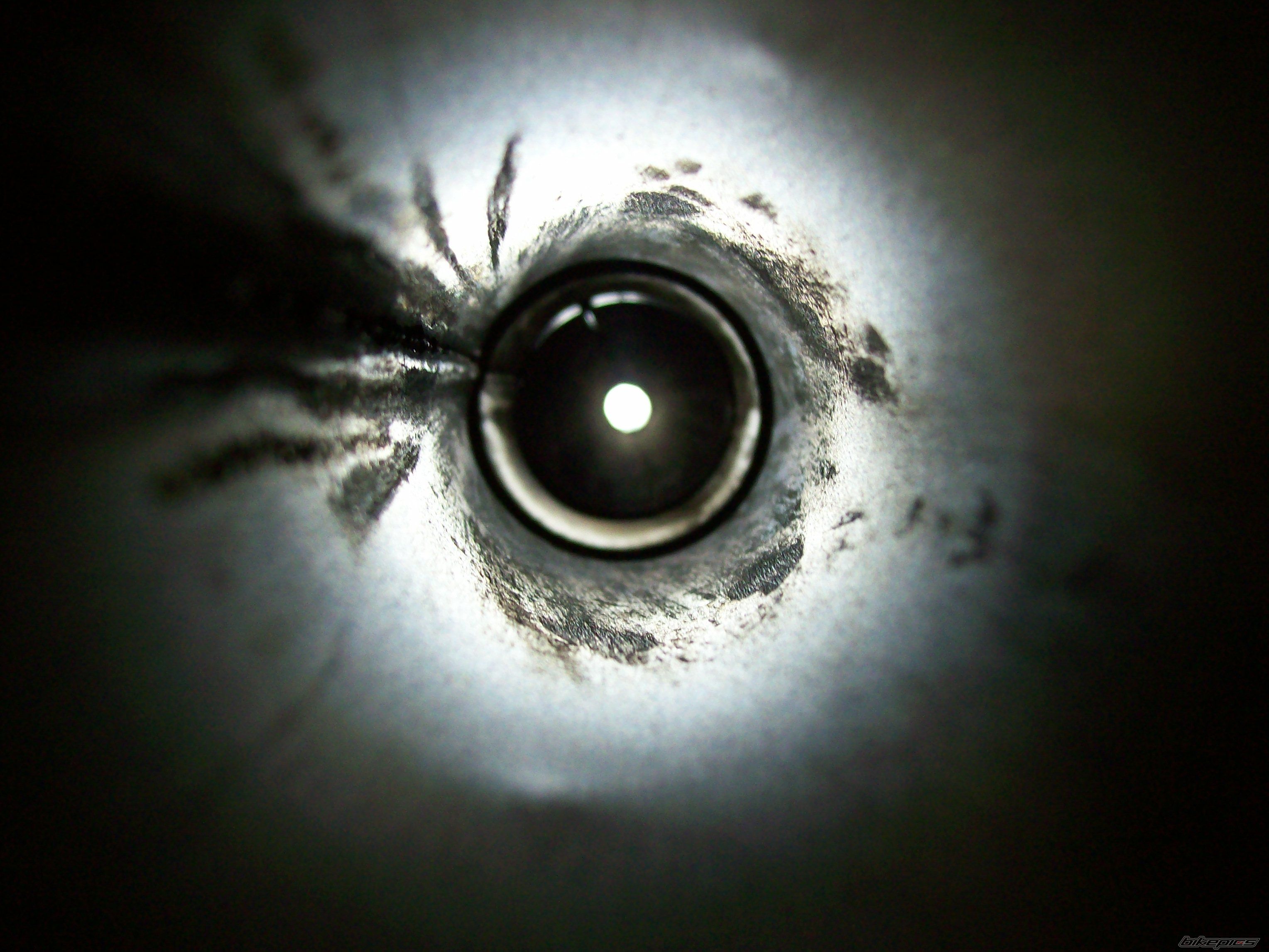 Photo 2350058