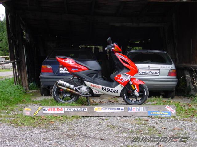 Photo 23502