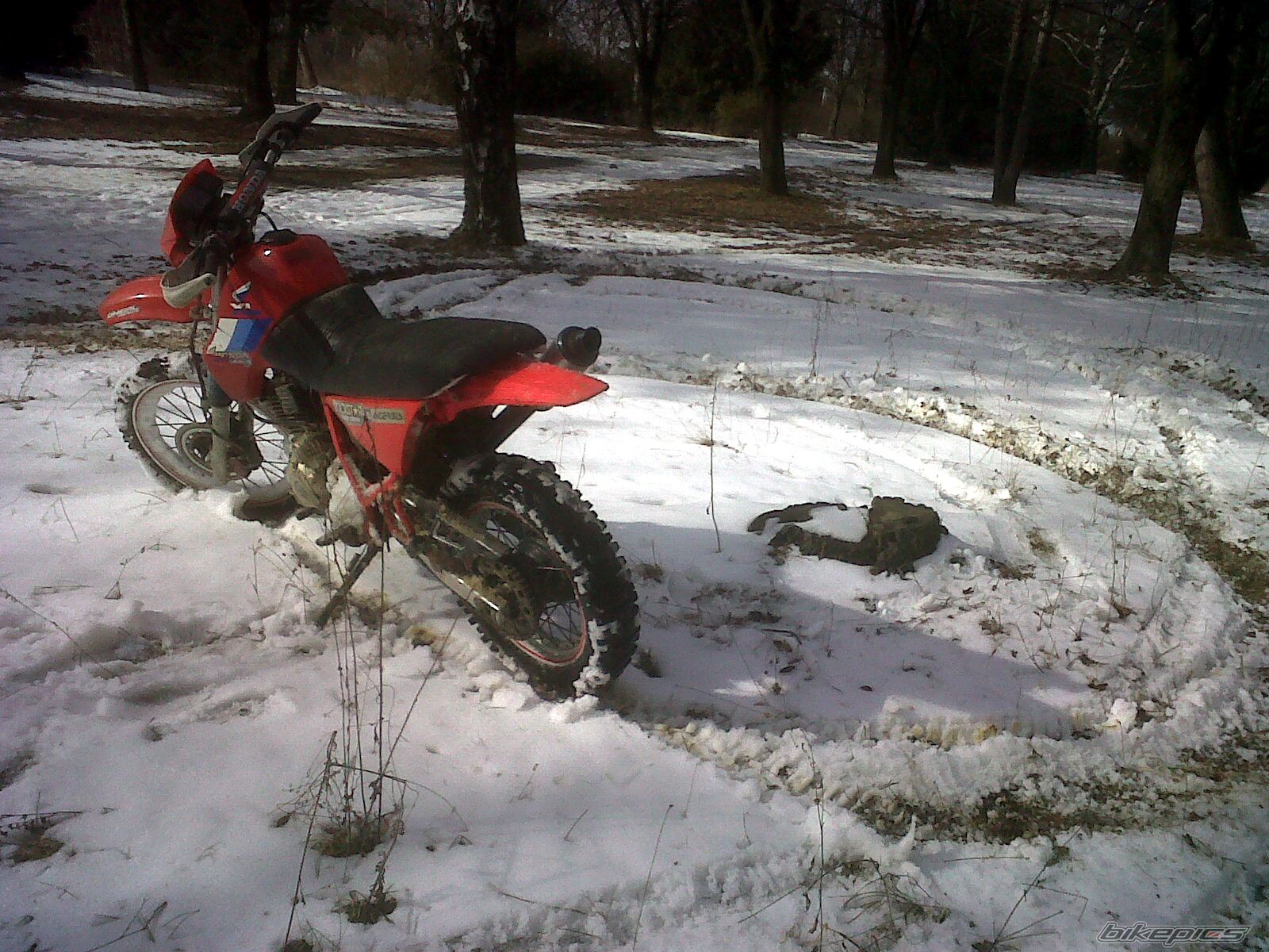 Photo 2350311