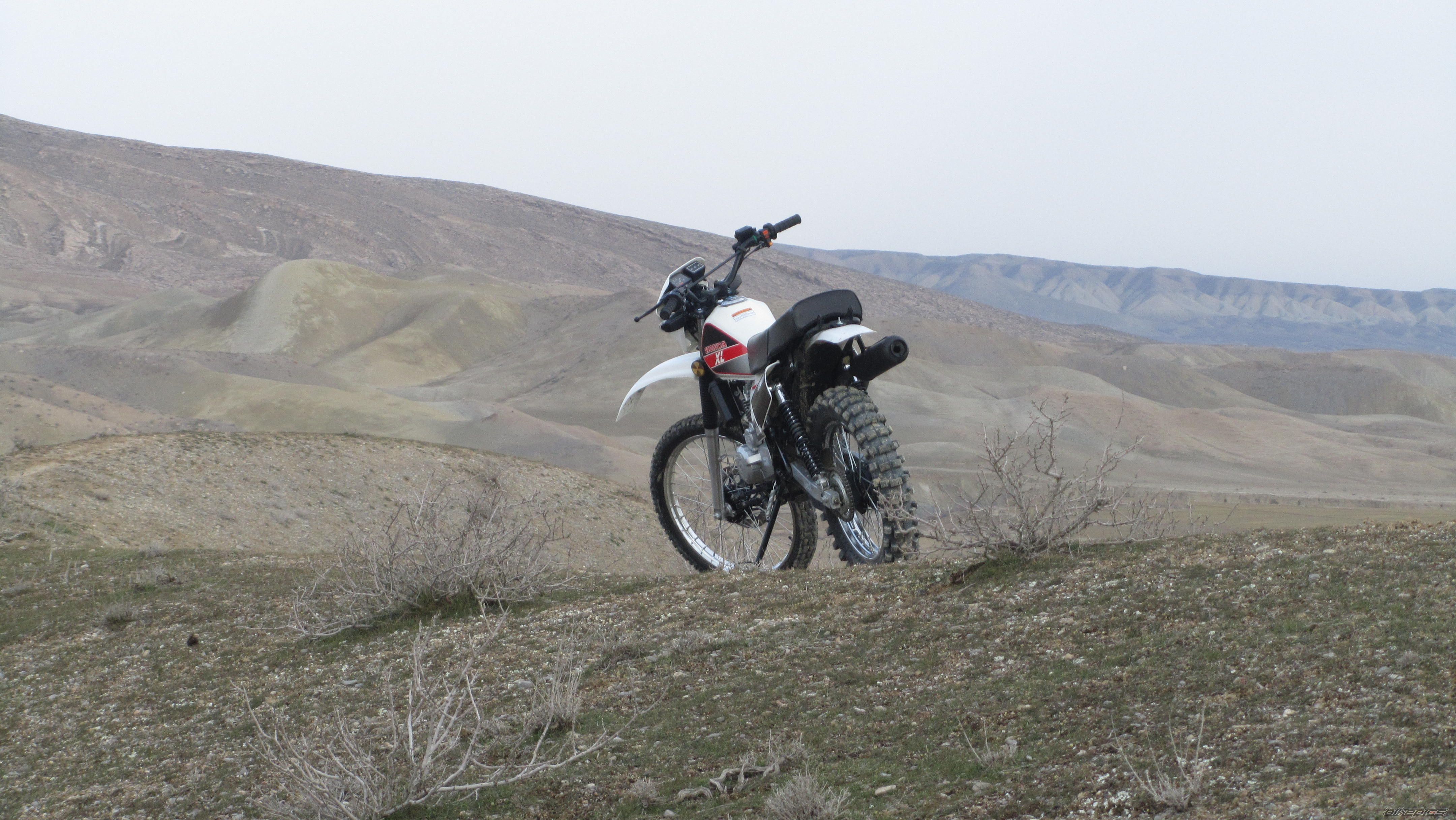 Photo 2350325