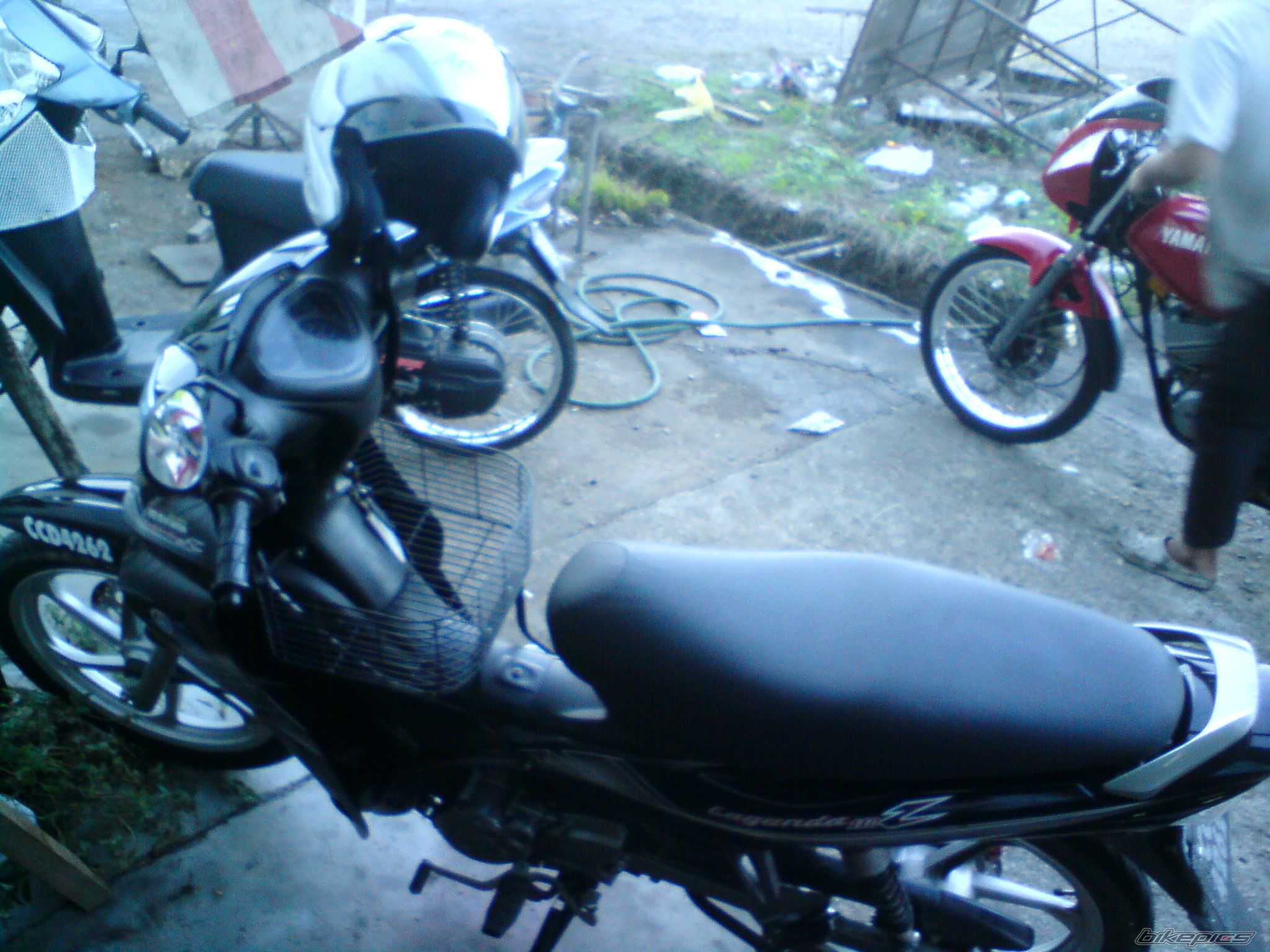Photo 2350387