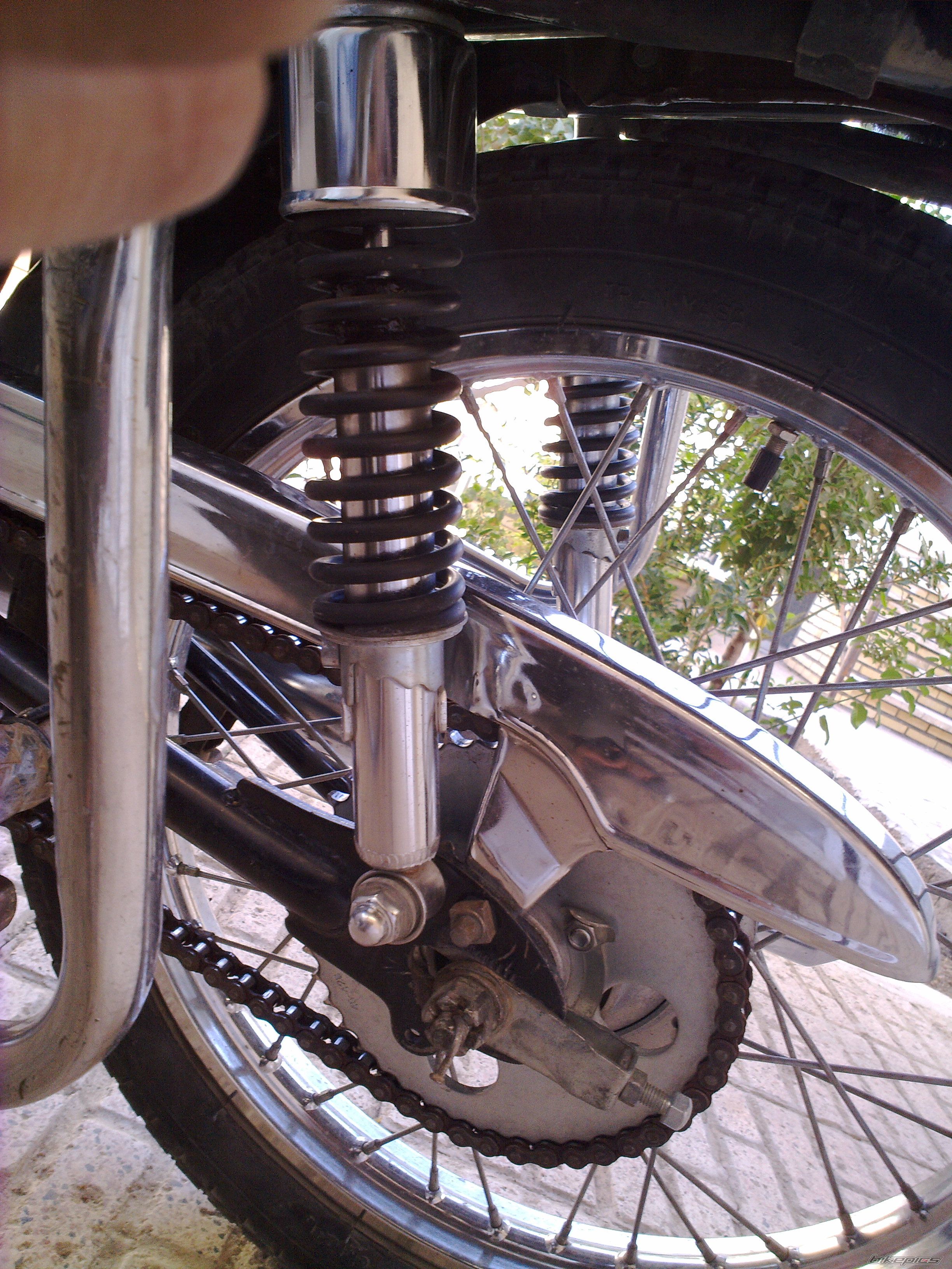 Photo 2350453
