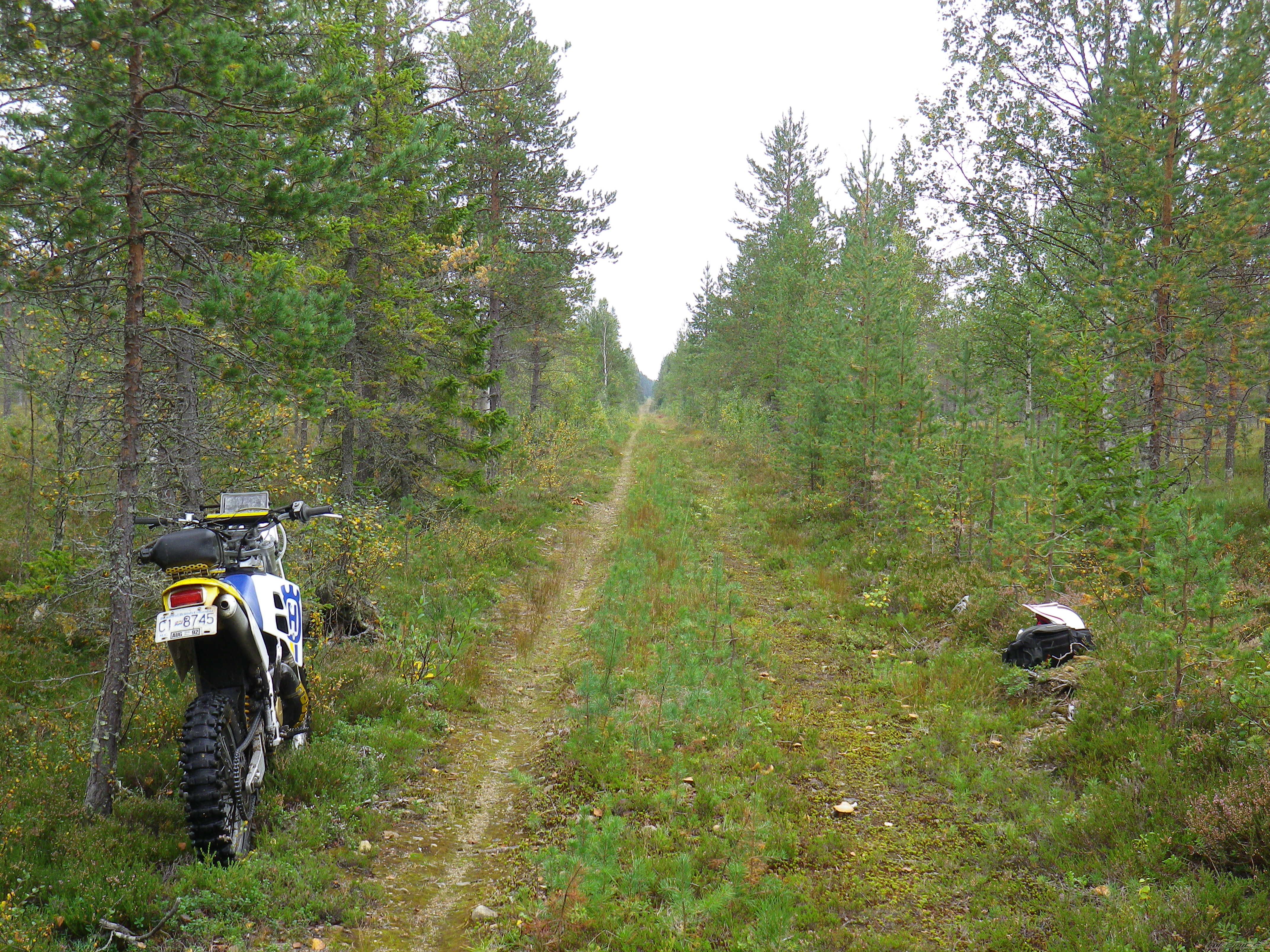 Photo 2350488