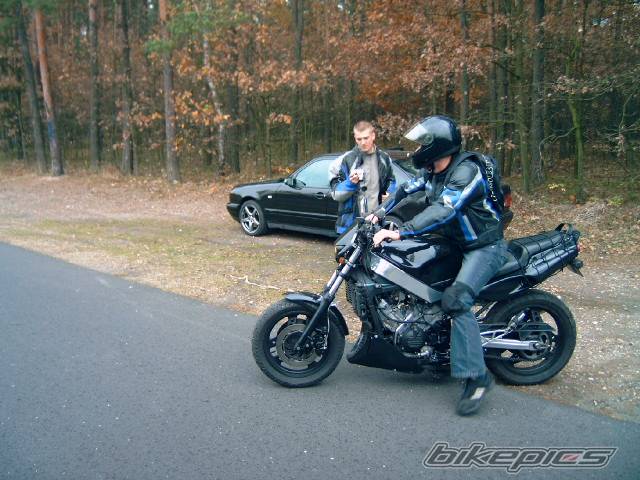 Photo 235053