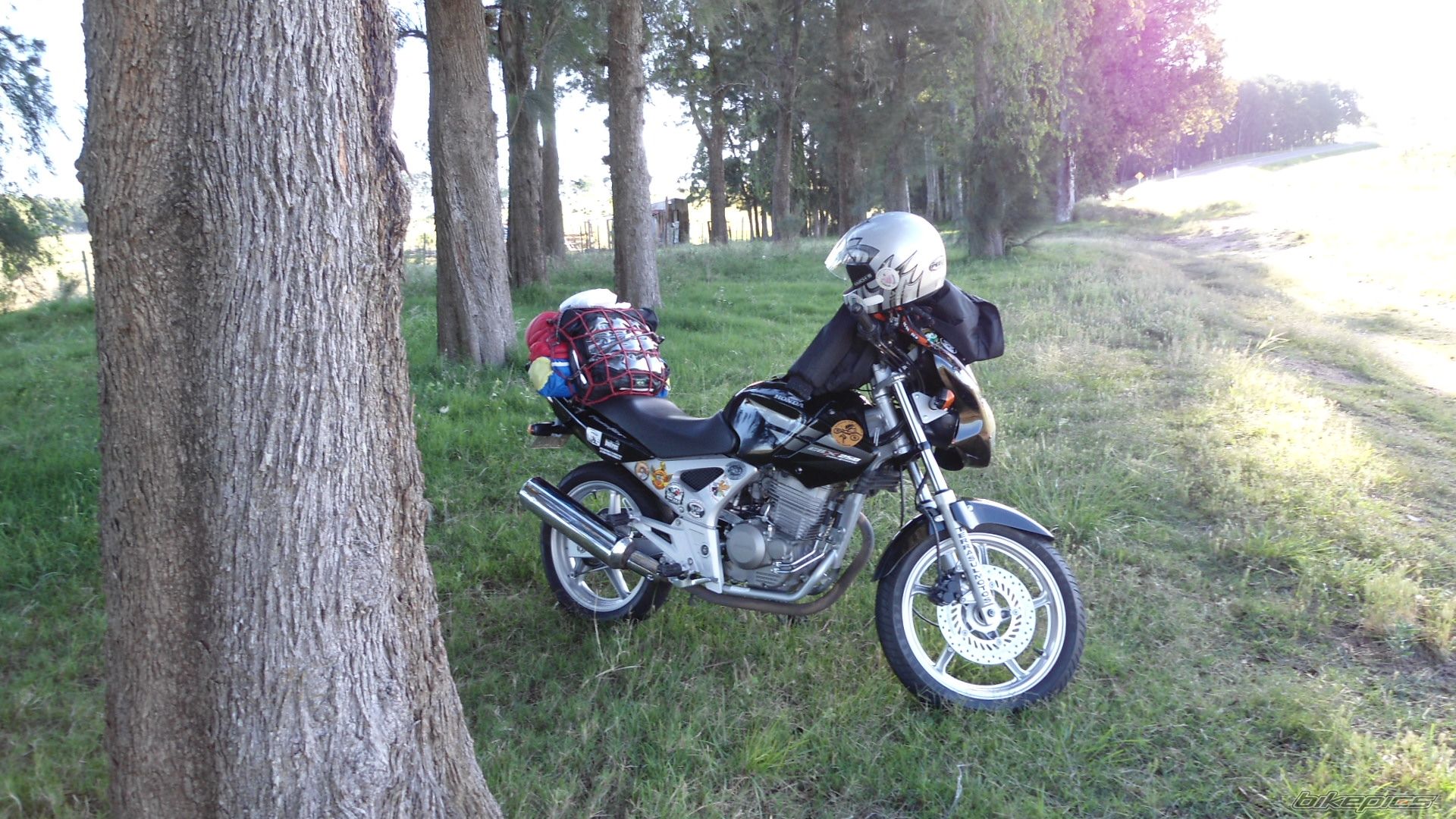 Photo 2350537