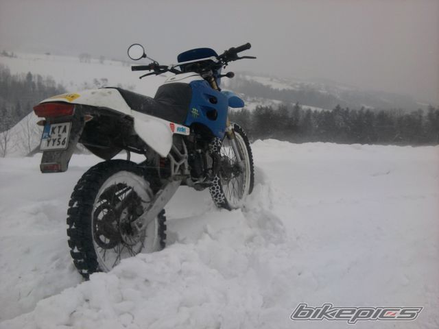Photo 2350572