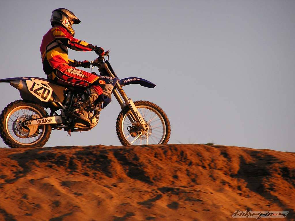 Bike Photo 235059