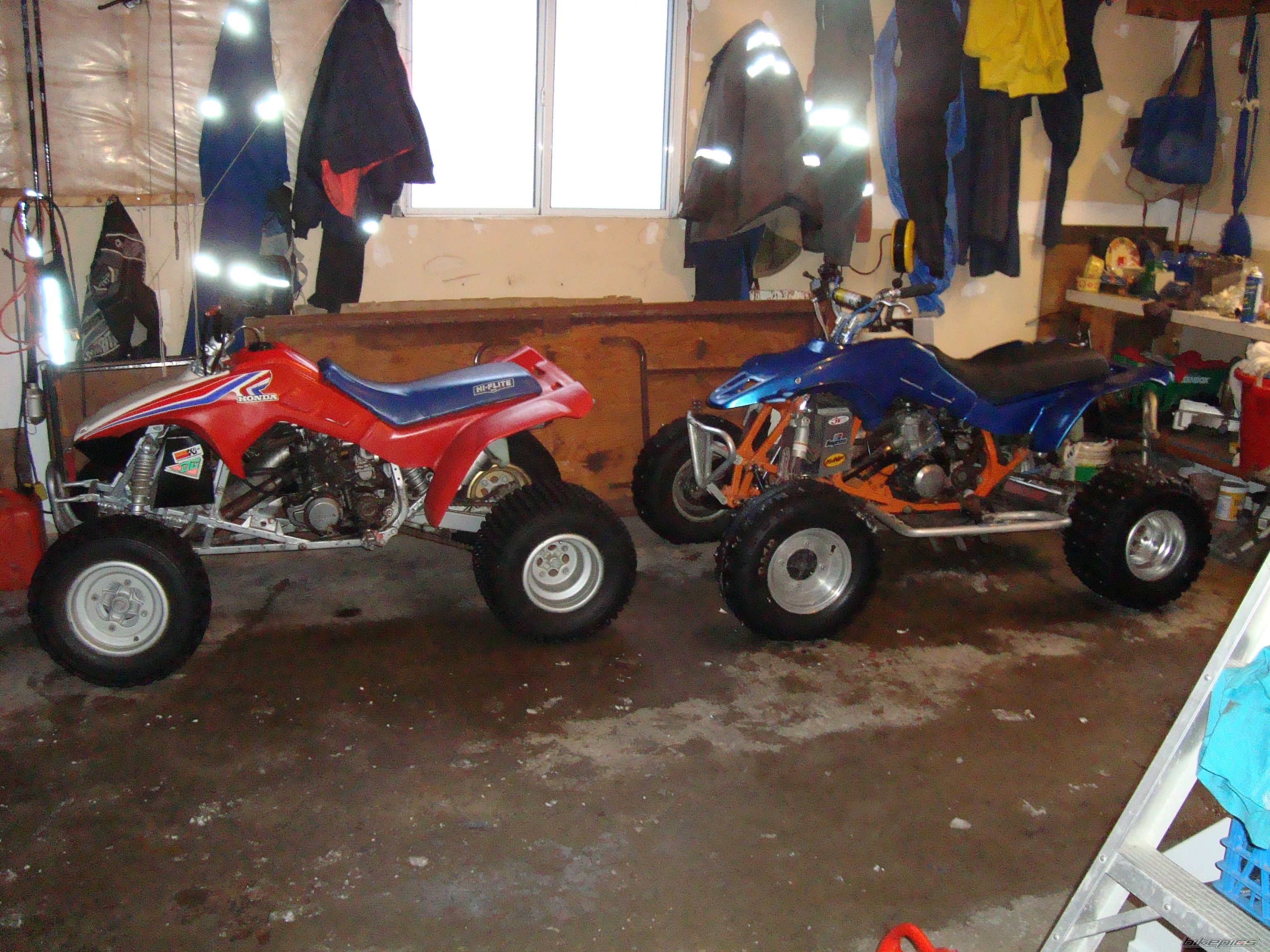 Photo 2350664