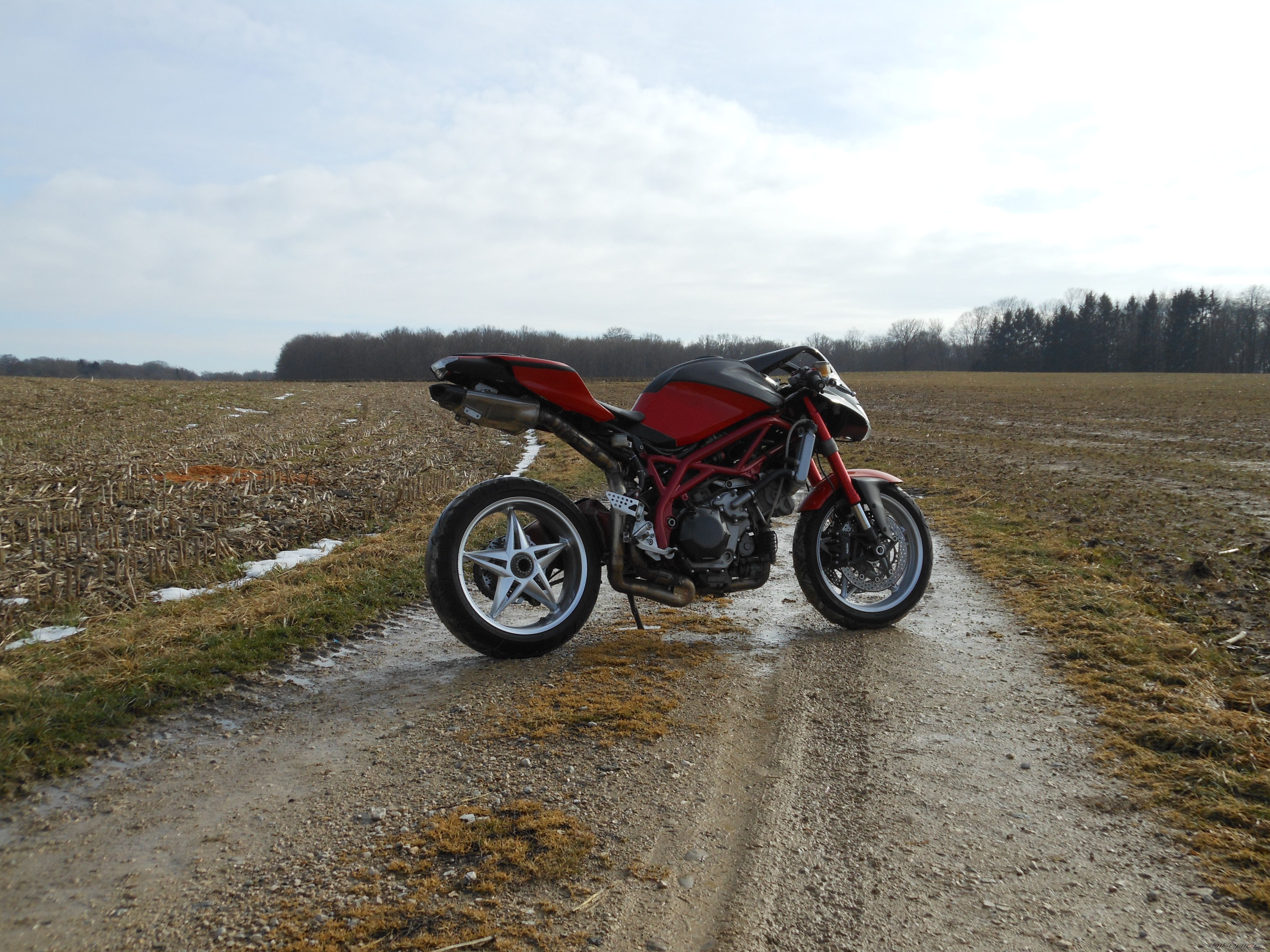 Photo 2350779