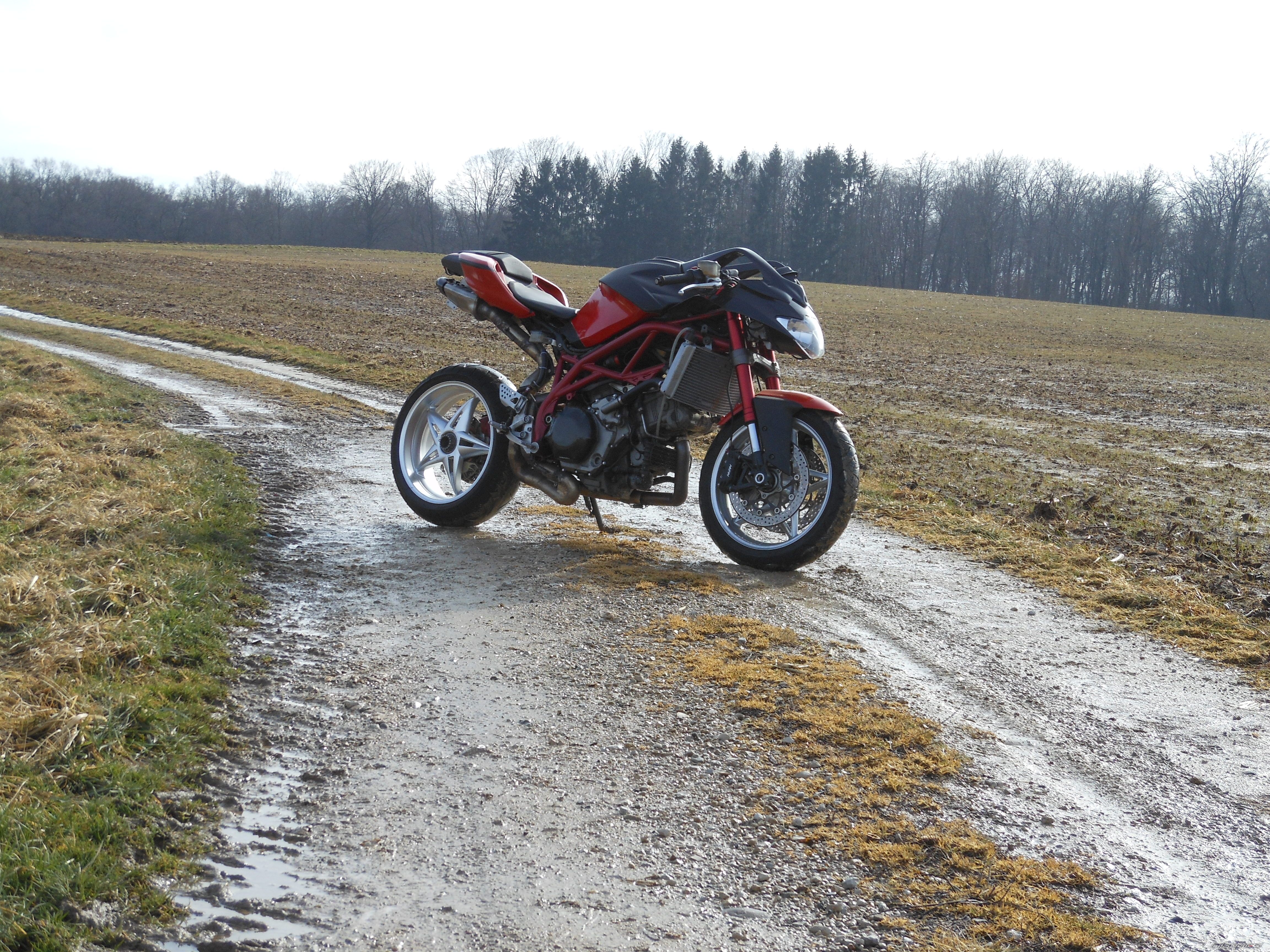 Photo 2350784