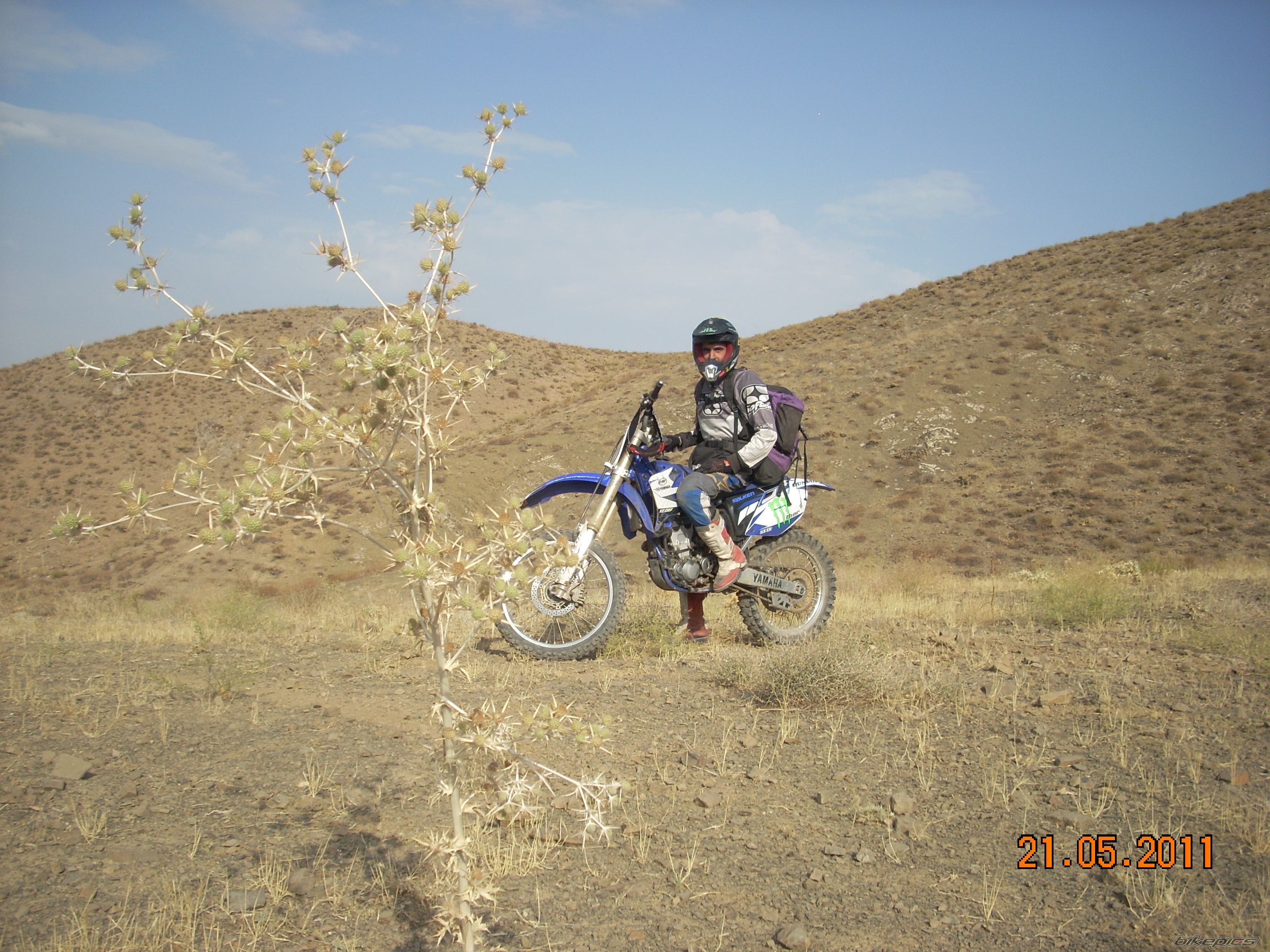 Photo 2350789