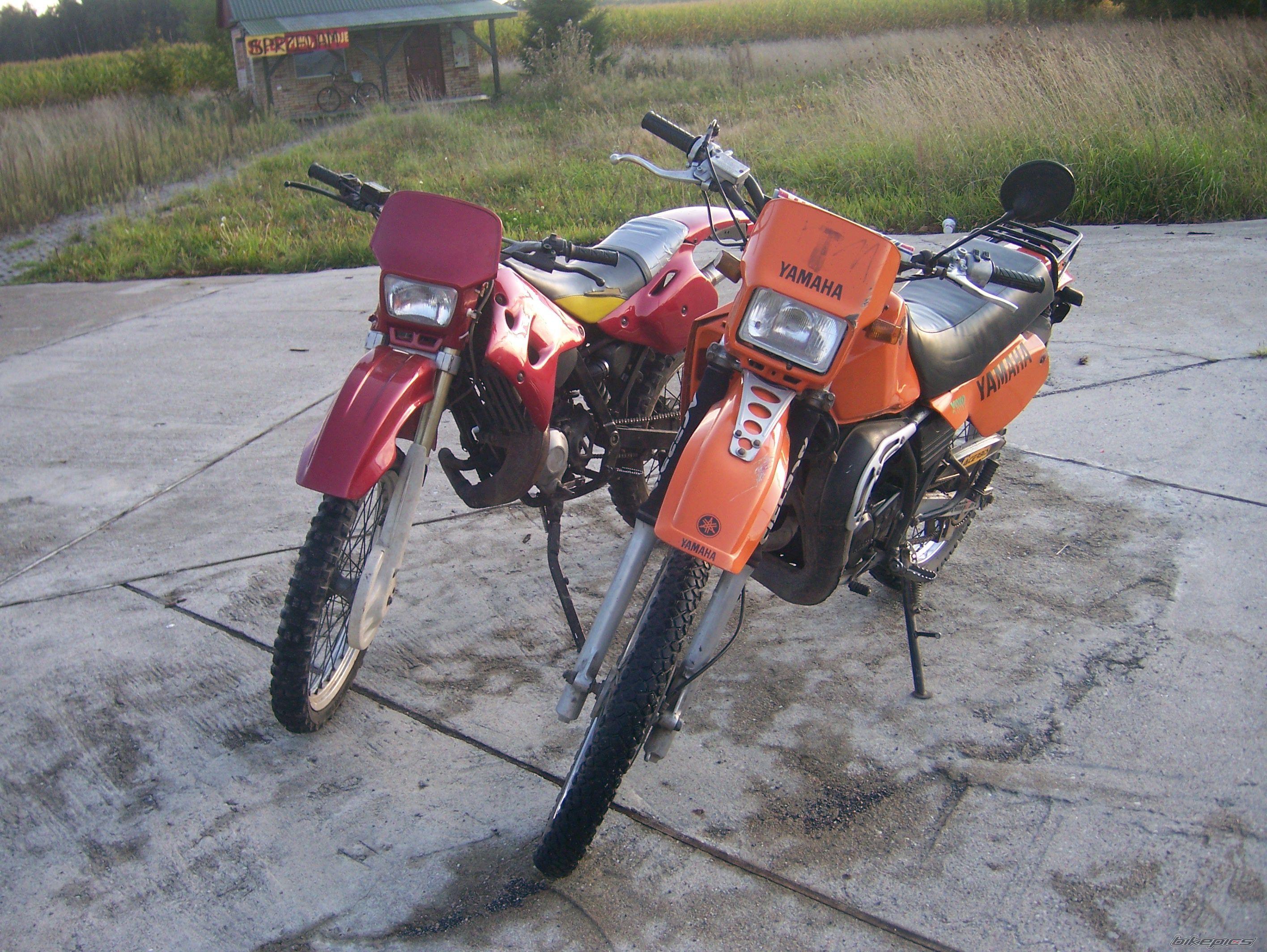 Photo 2350882