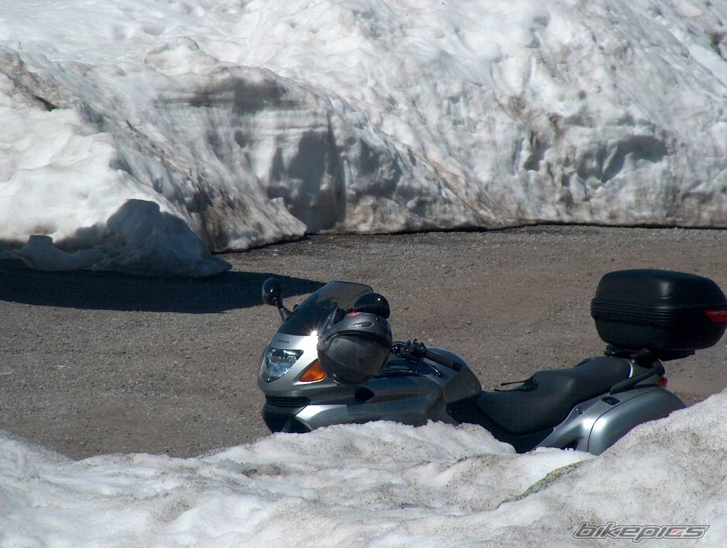 Photo 235095