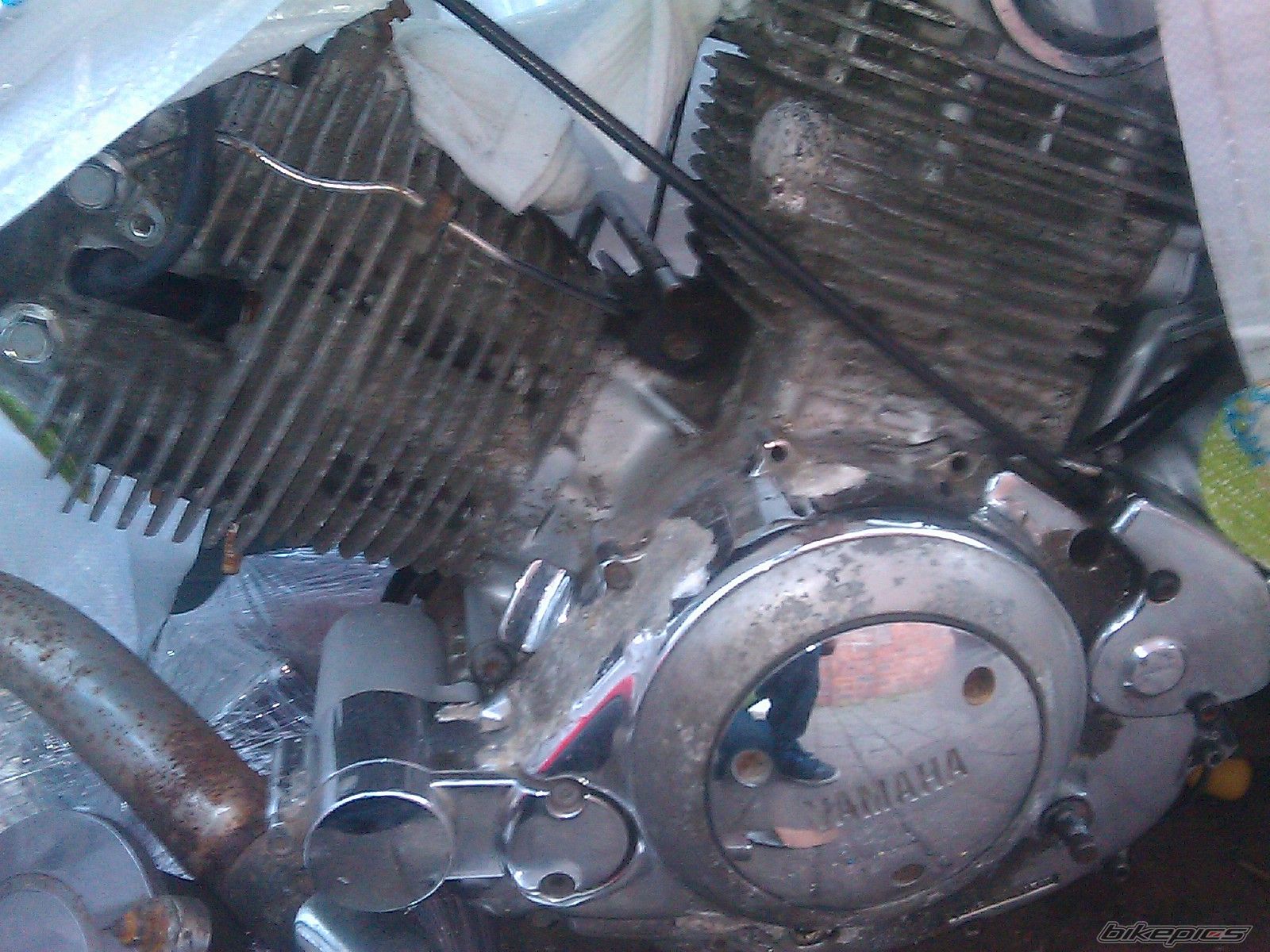 Photo 2351003