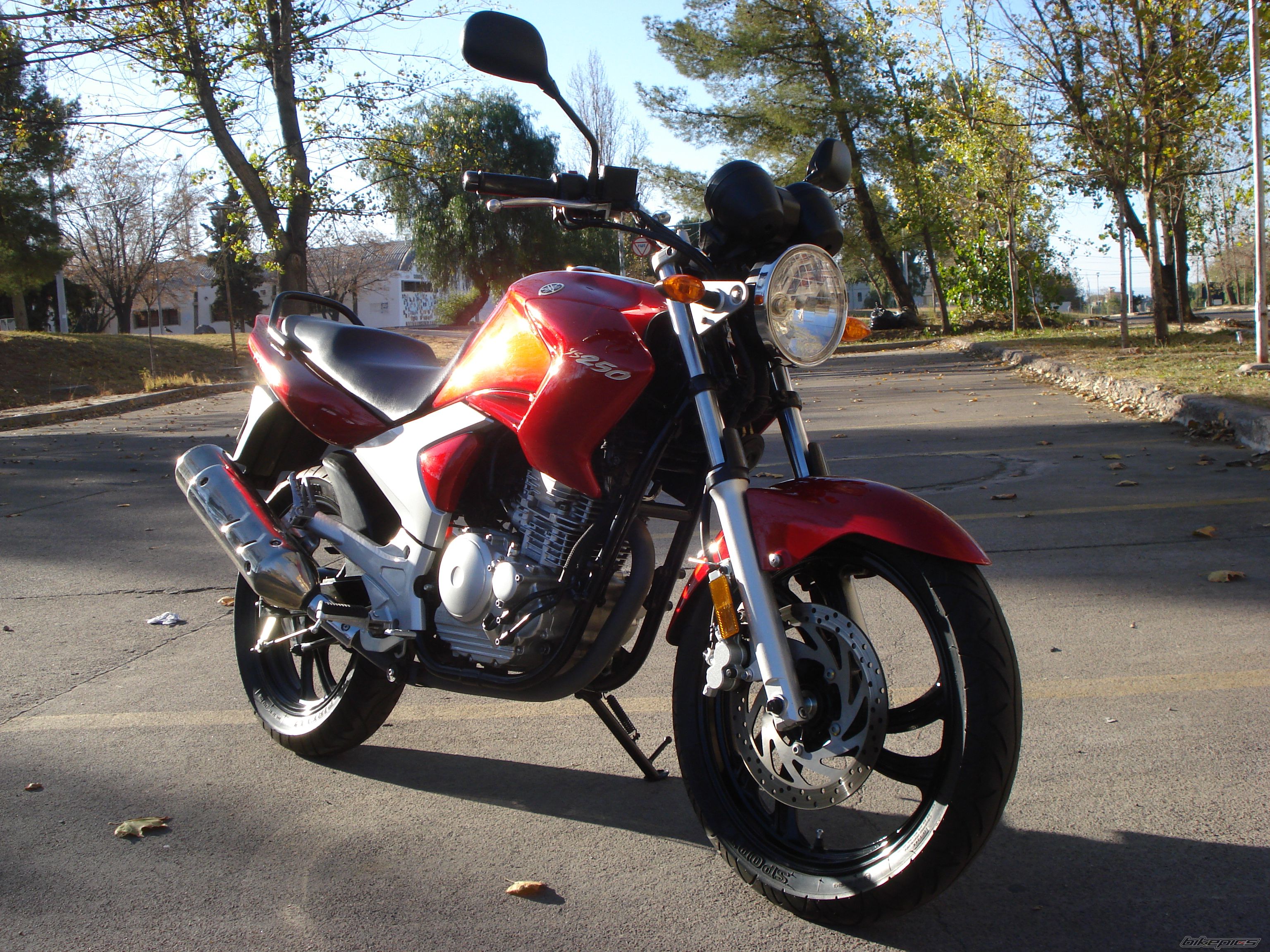Bike Photo 2351030
