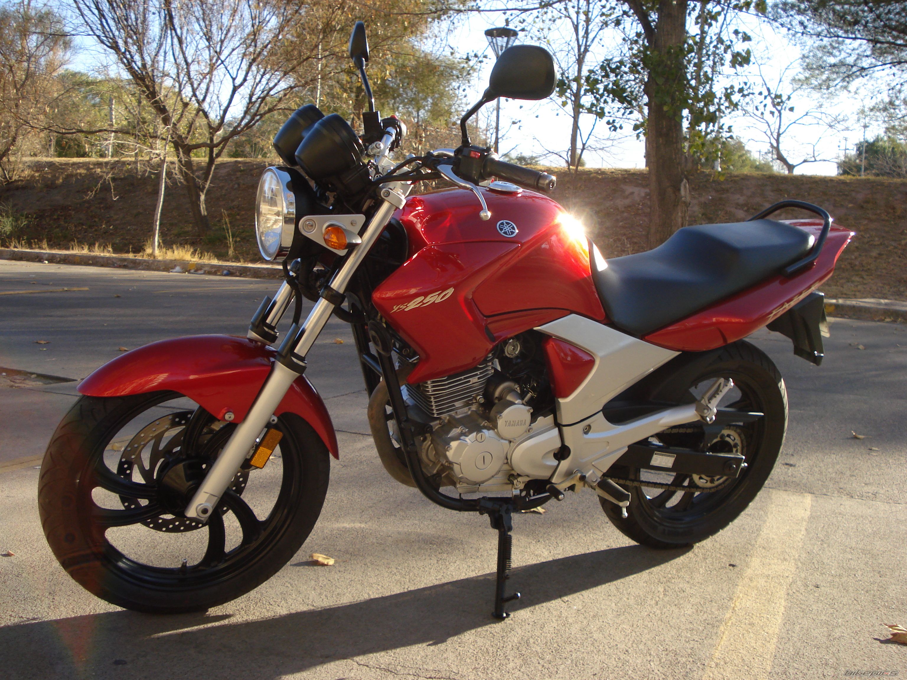 Bike Photo 2351031