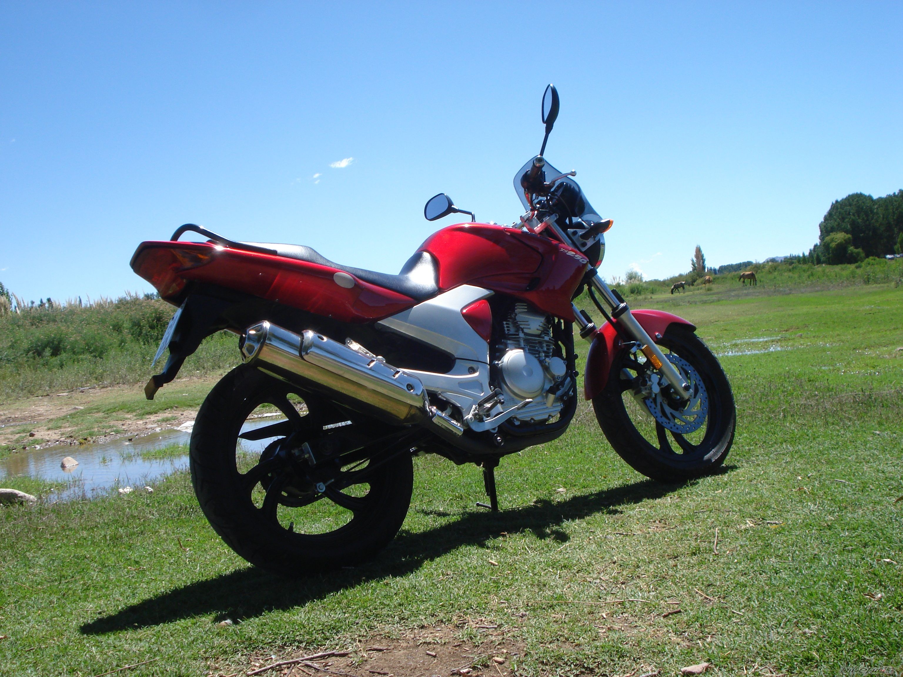 Bike Photo 2351073