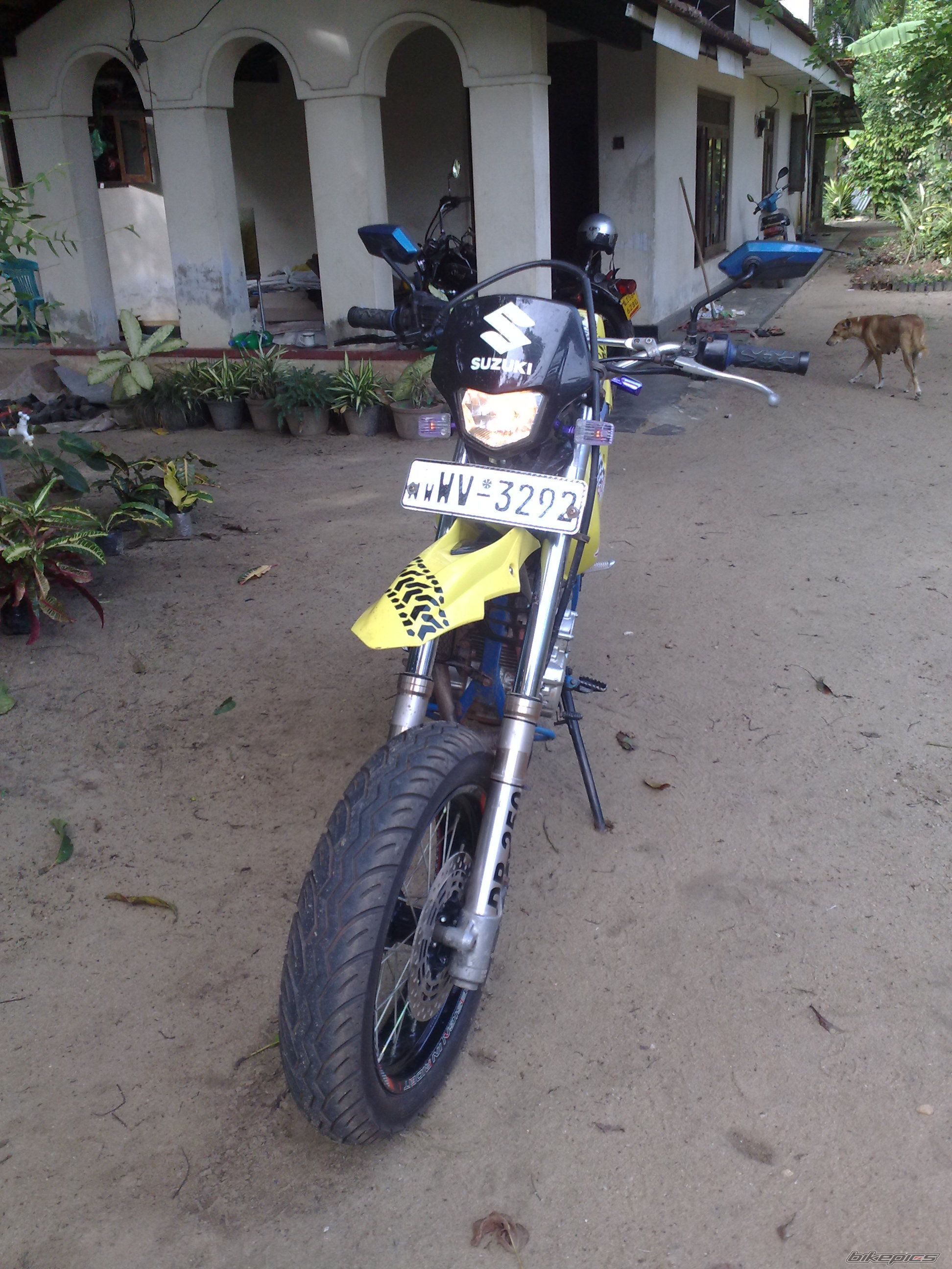 Photo 2351115