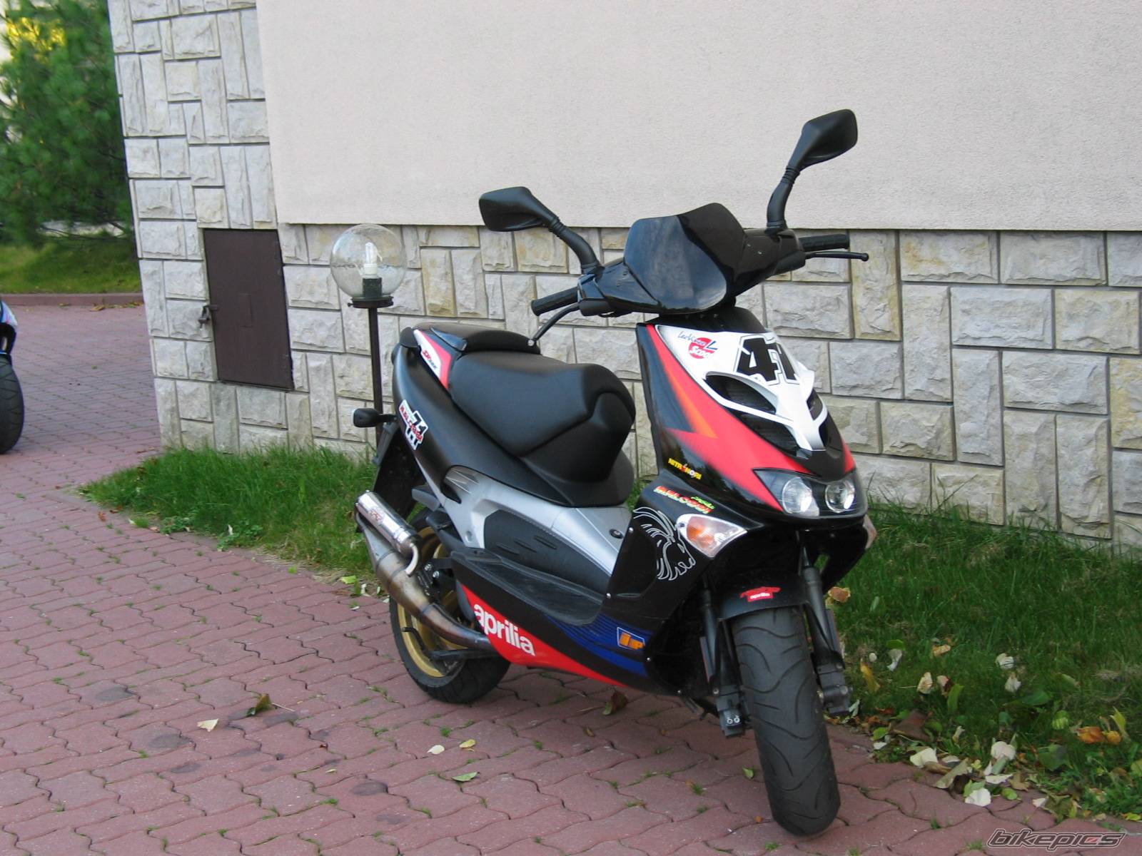 Photo 235127