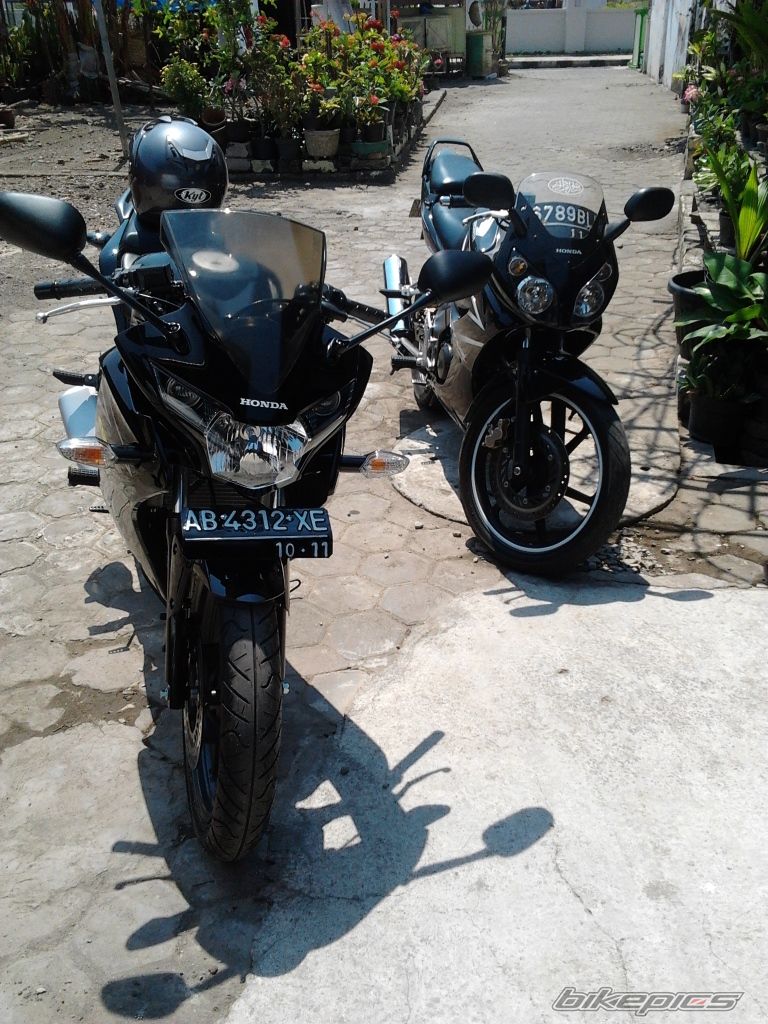 Photo 2351399
